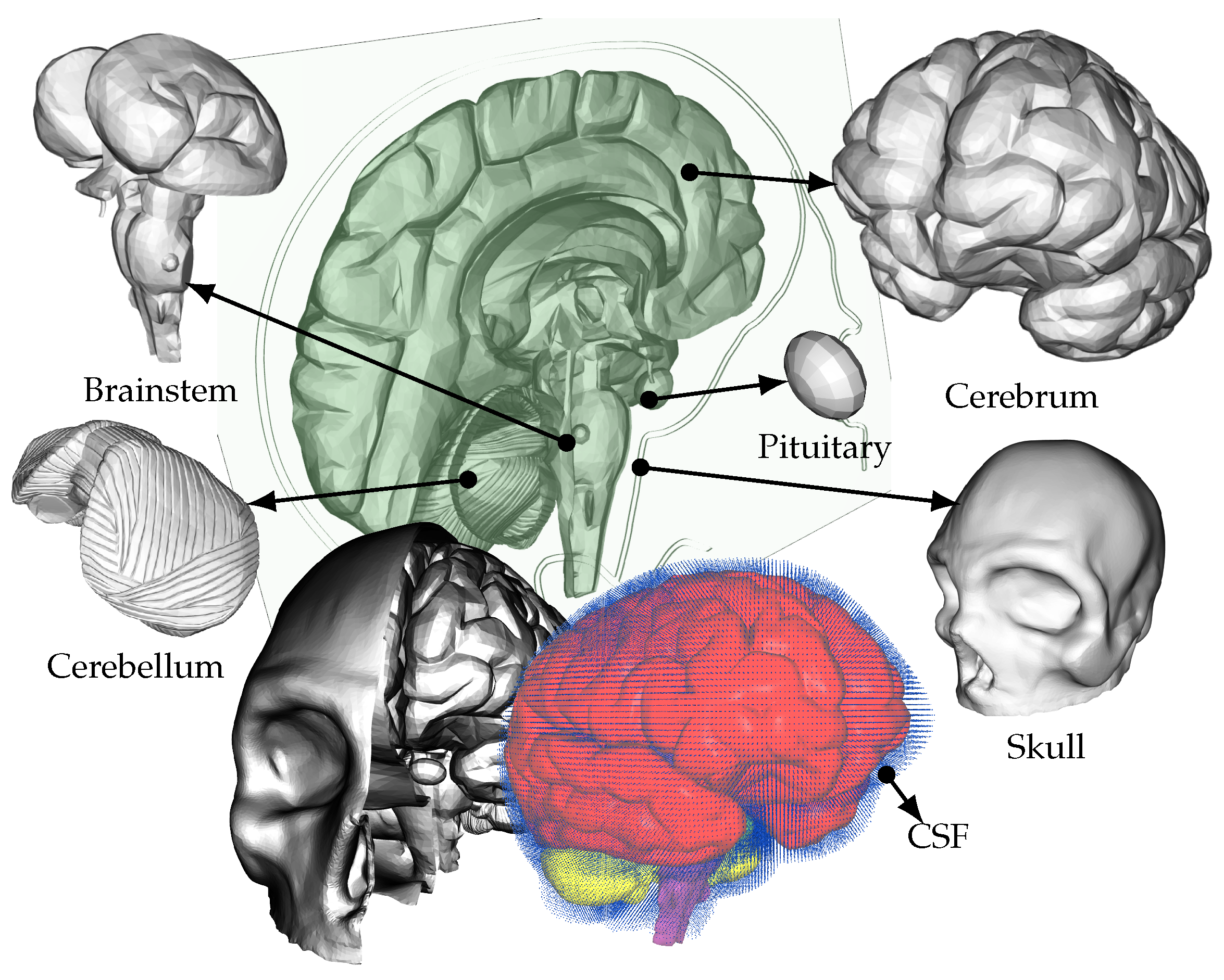 Brainsci 14 00323 g002