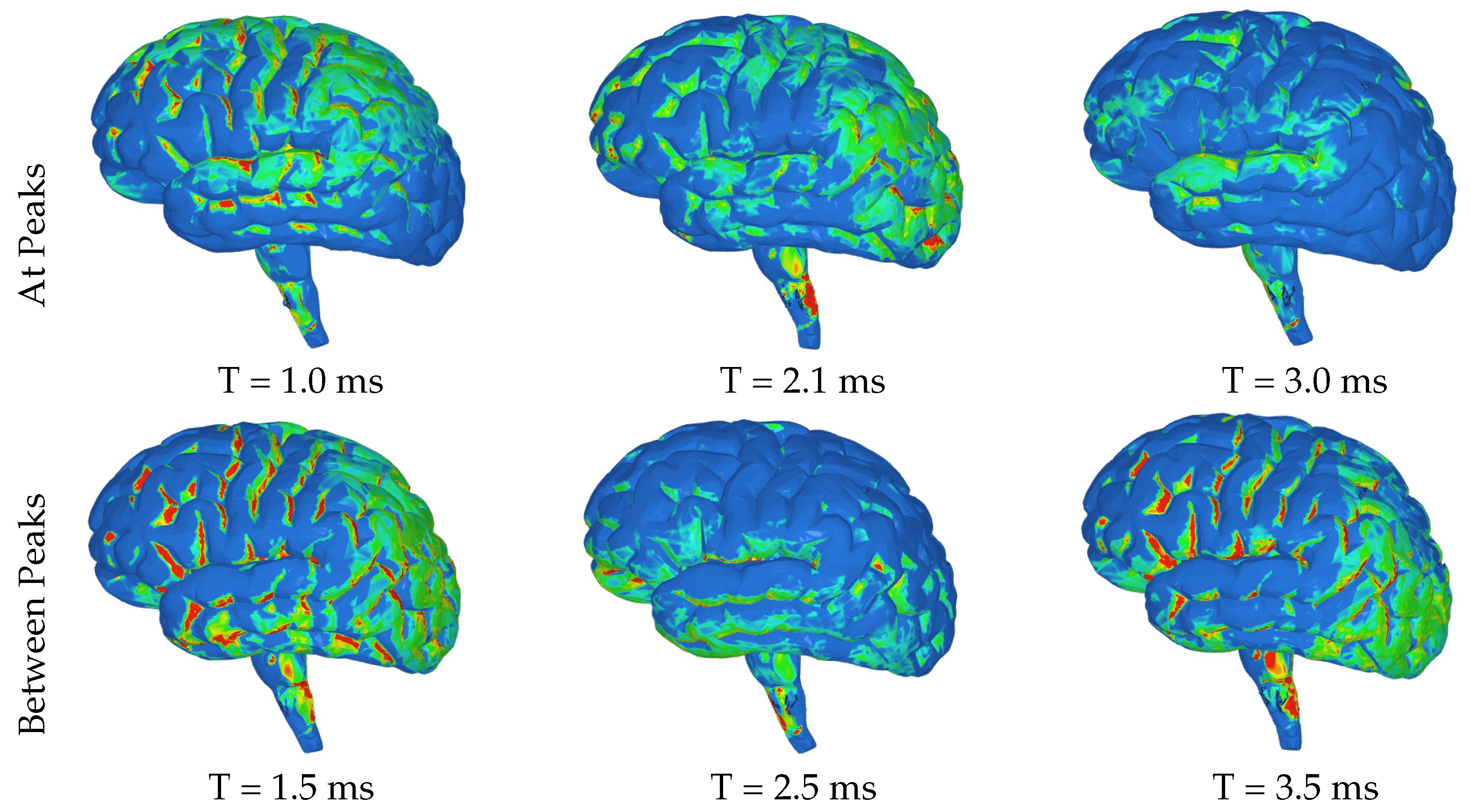 Brainsci 14 00323 g006