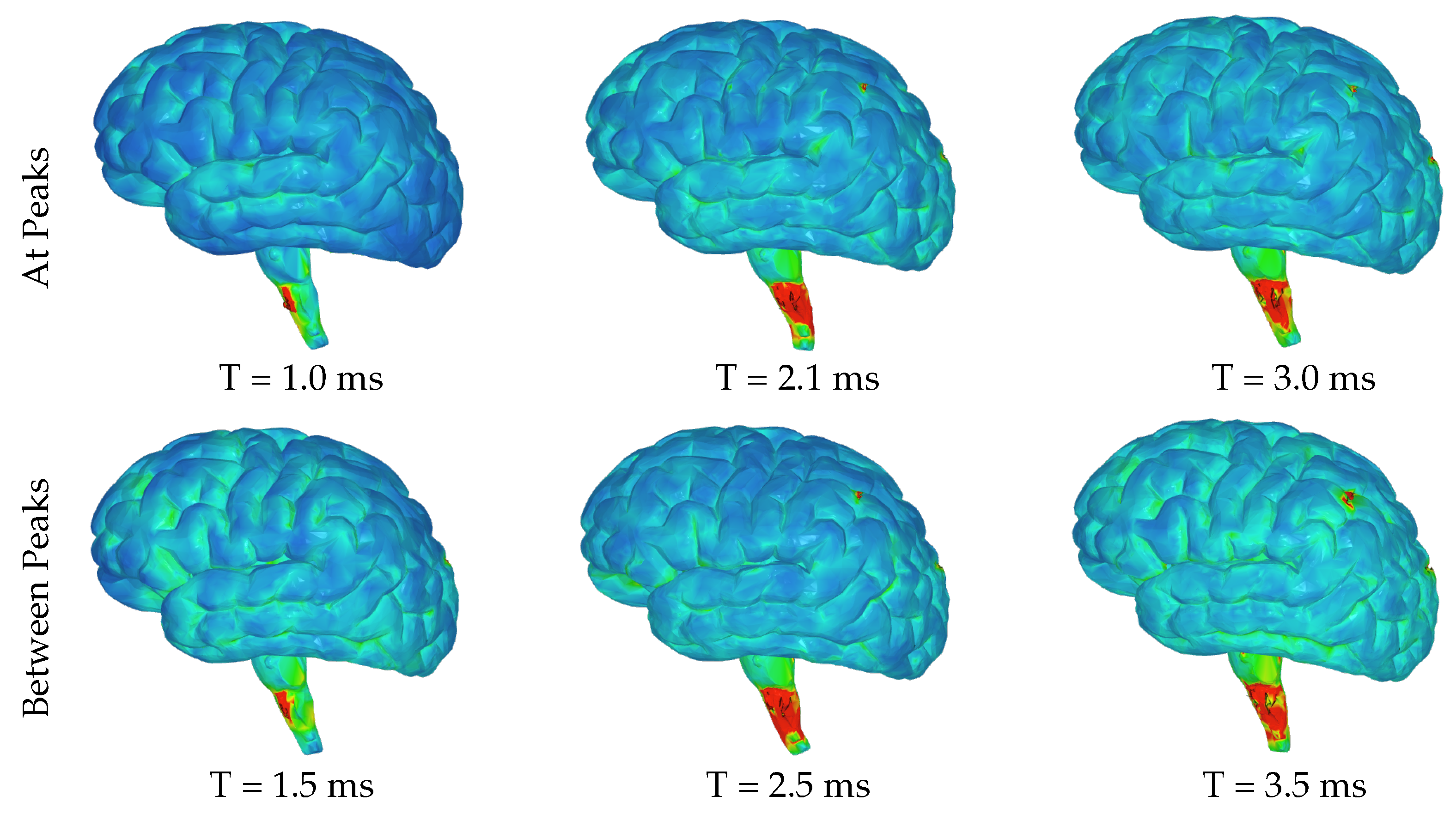 Brainsci 14 00323 g008