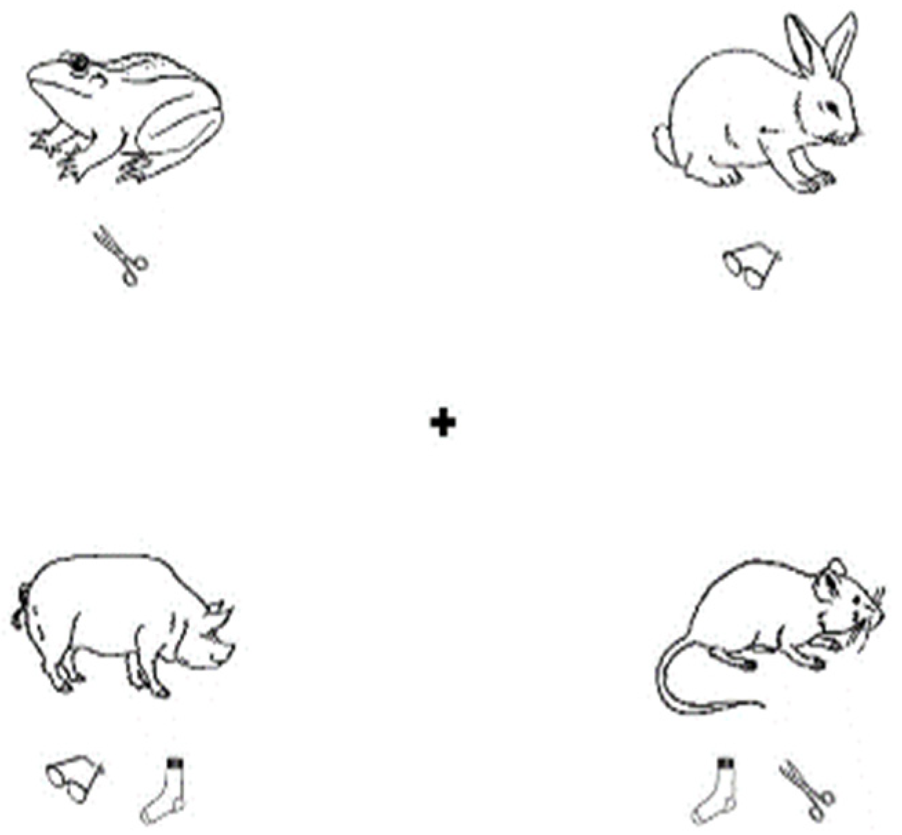 Brainsci 14 00324 g002