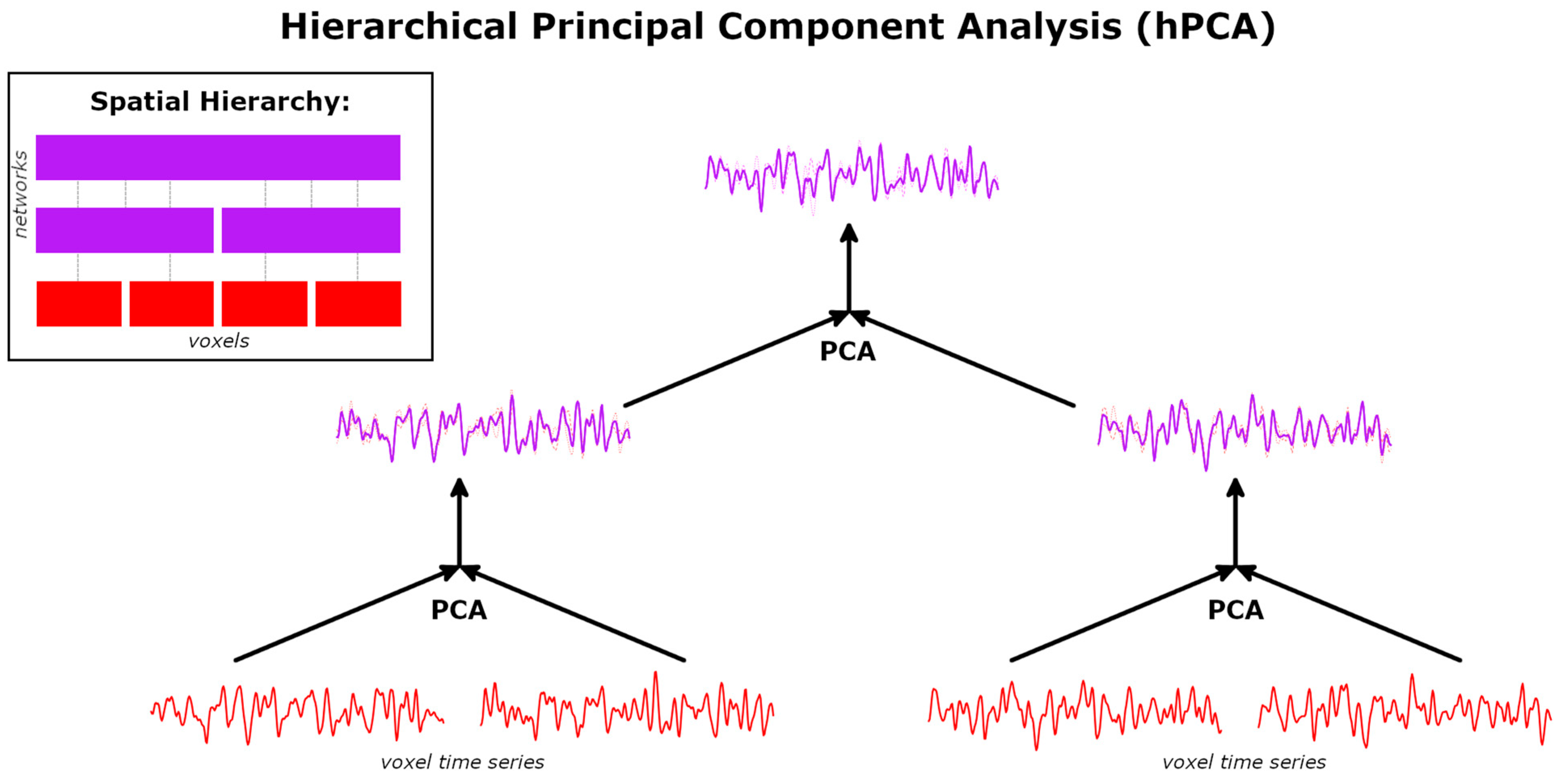 Brainsci 14 00325 g001
