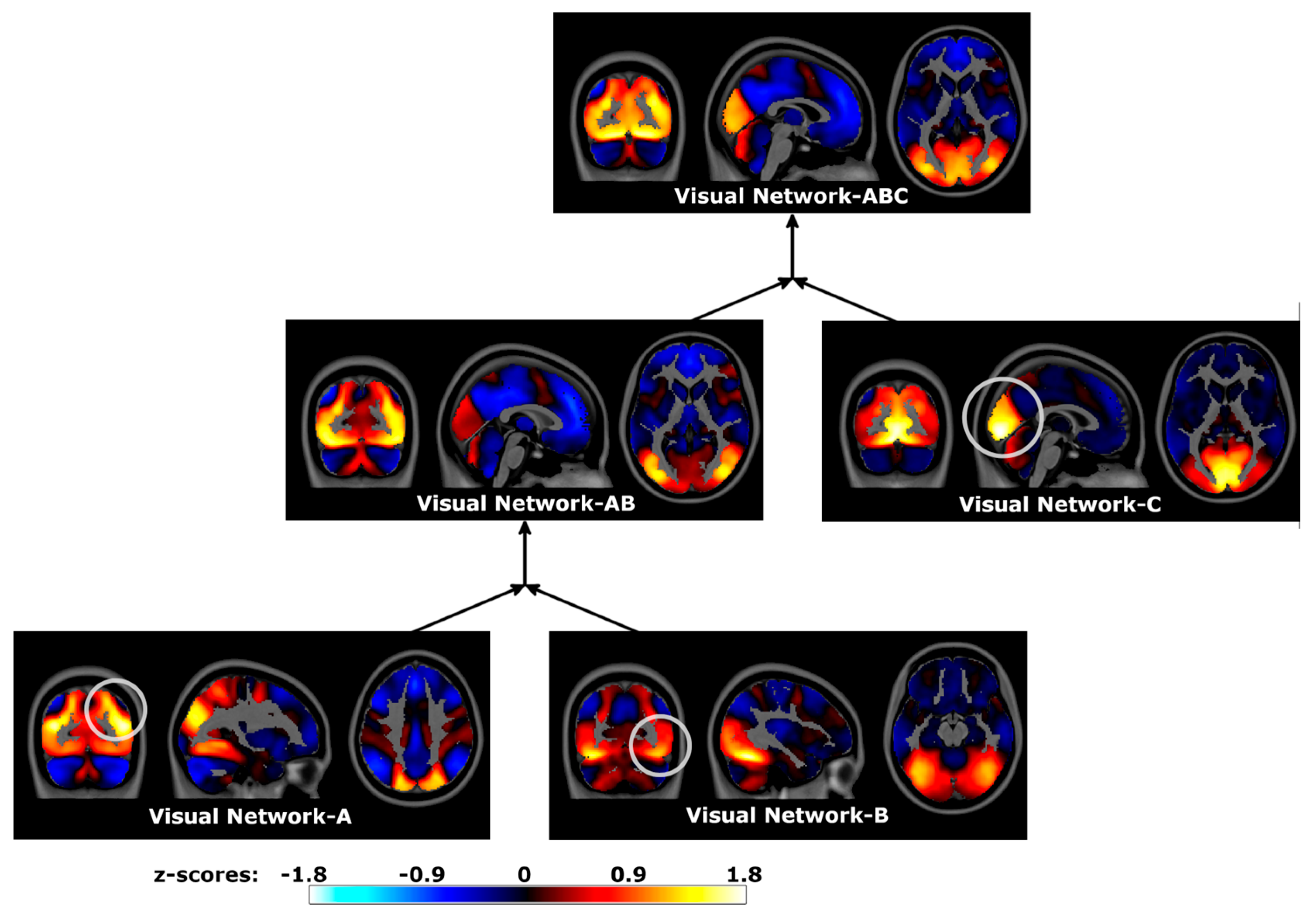 Brainsci 14 00325 g008
