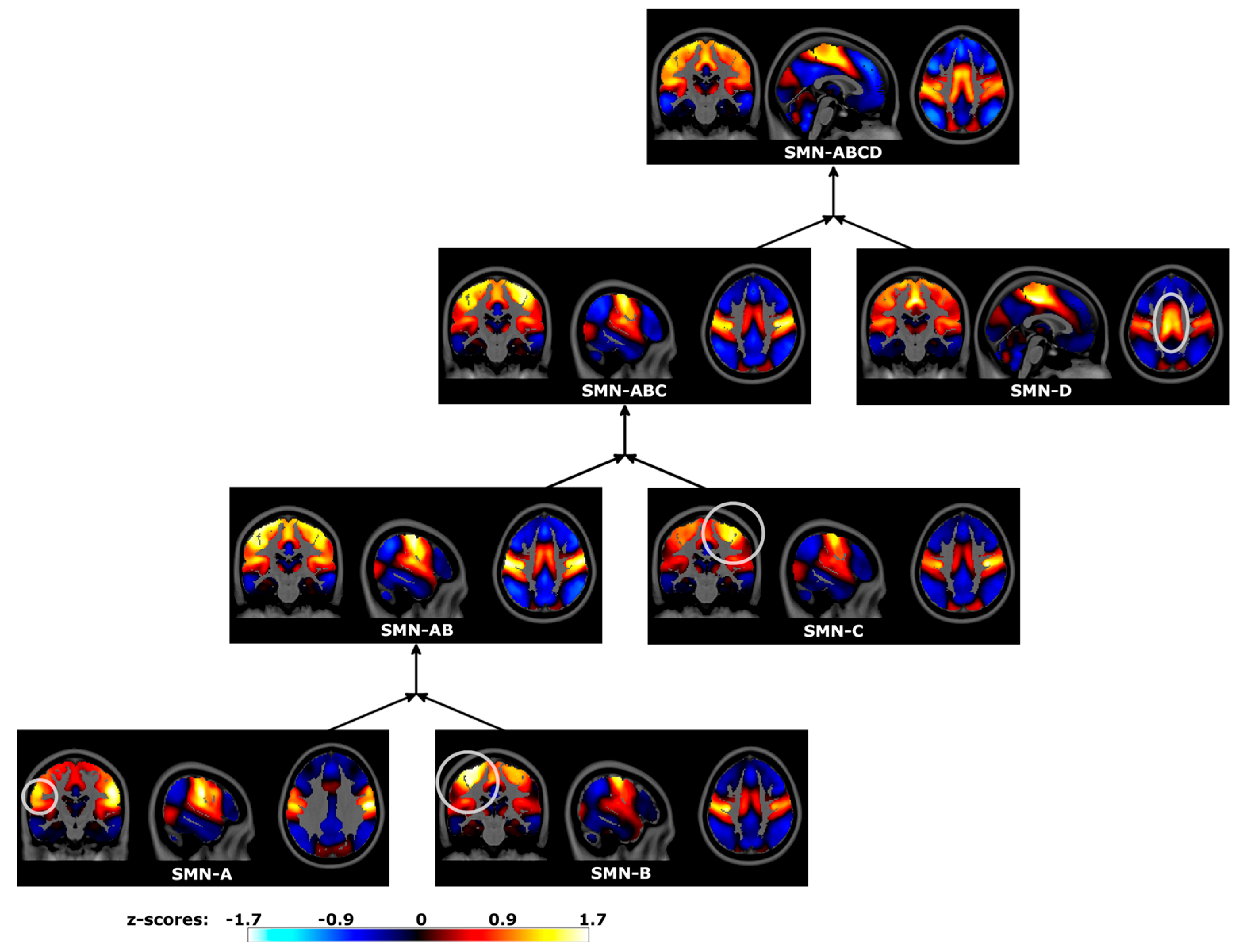 Brainsci 14 00325 g009