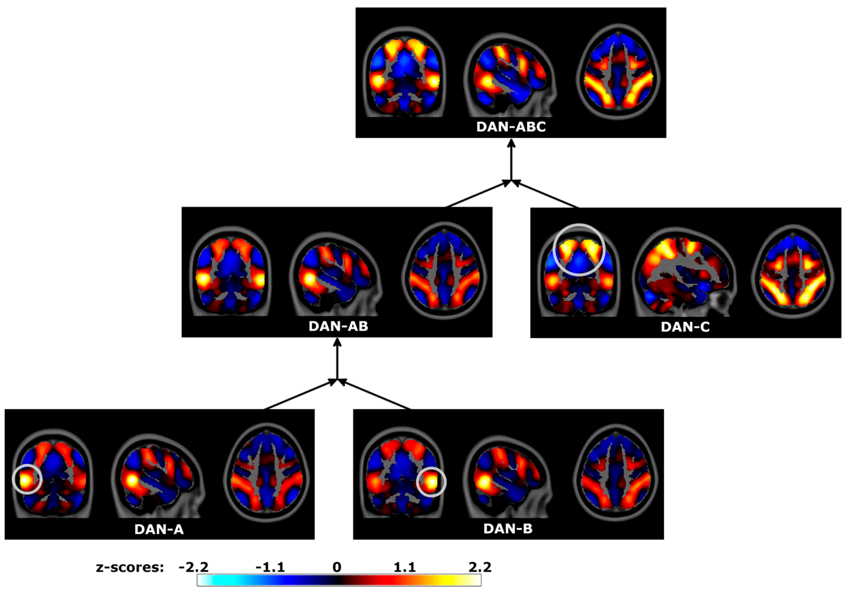 Brainsci 14 00325 g010