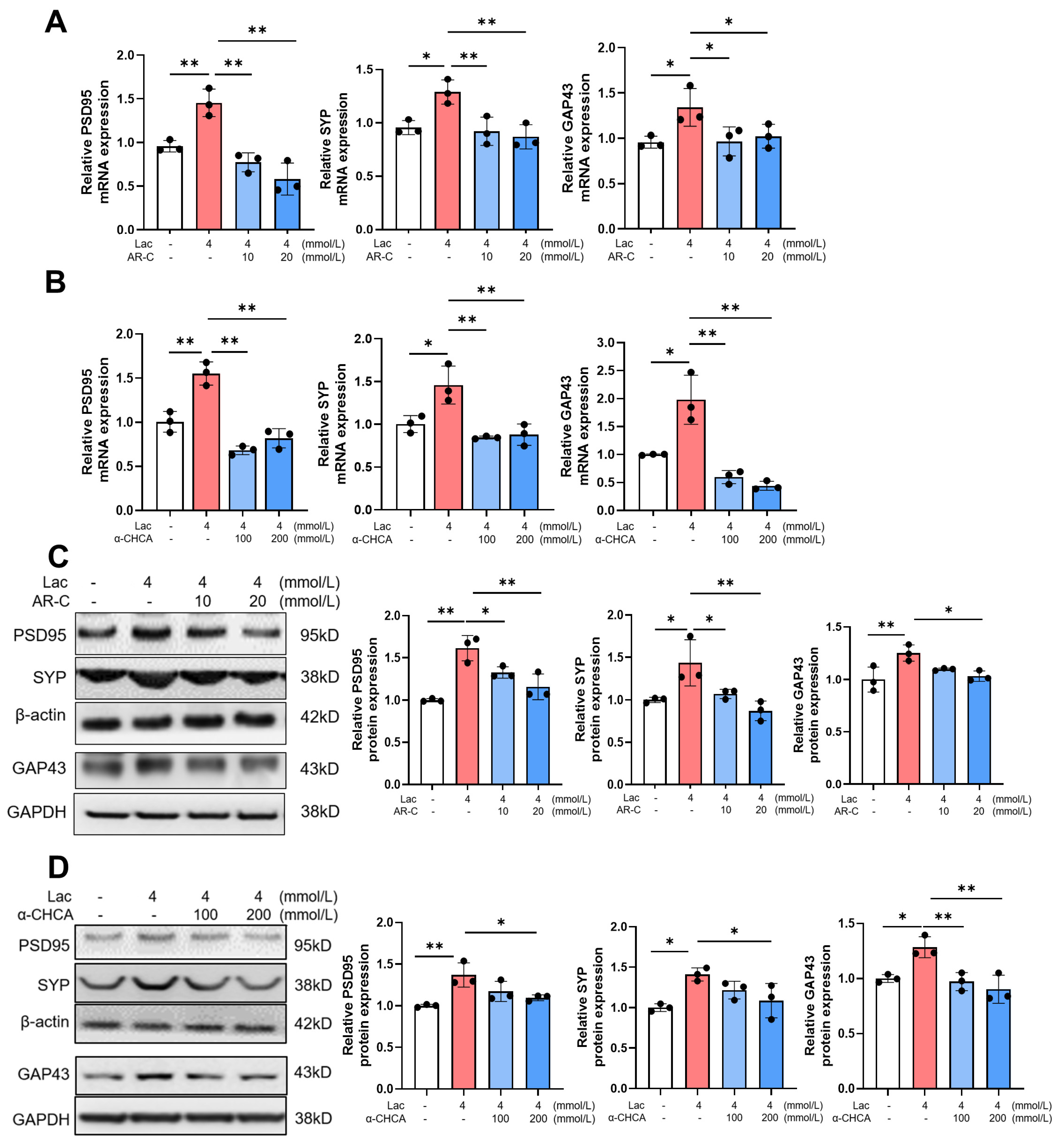 Brainsci 14 00327 g003