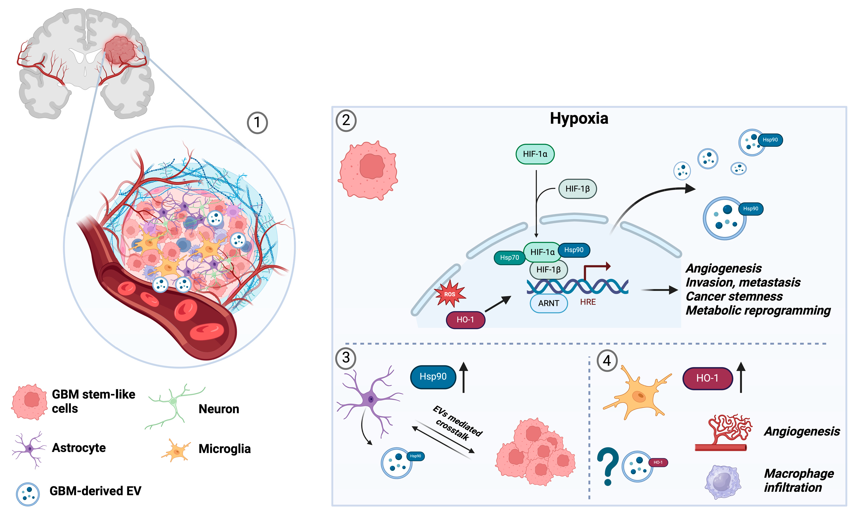 Brainsci 14 00331 g003