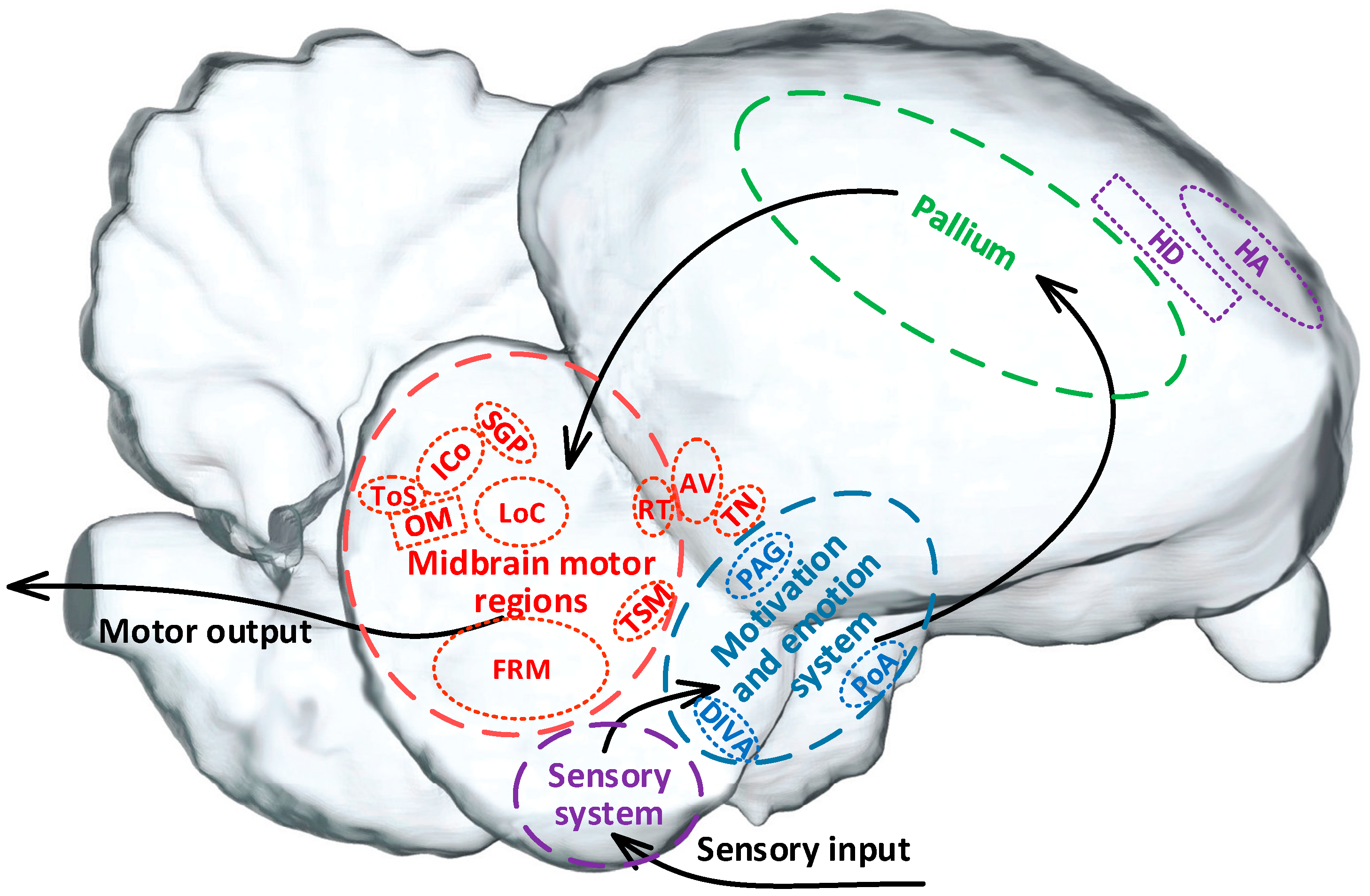 Brainsci 14 00339 g002 Brainsci 14 00339 g002