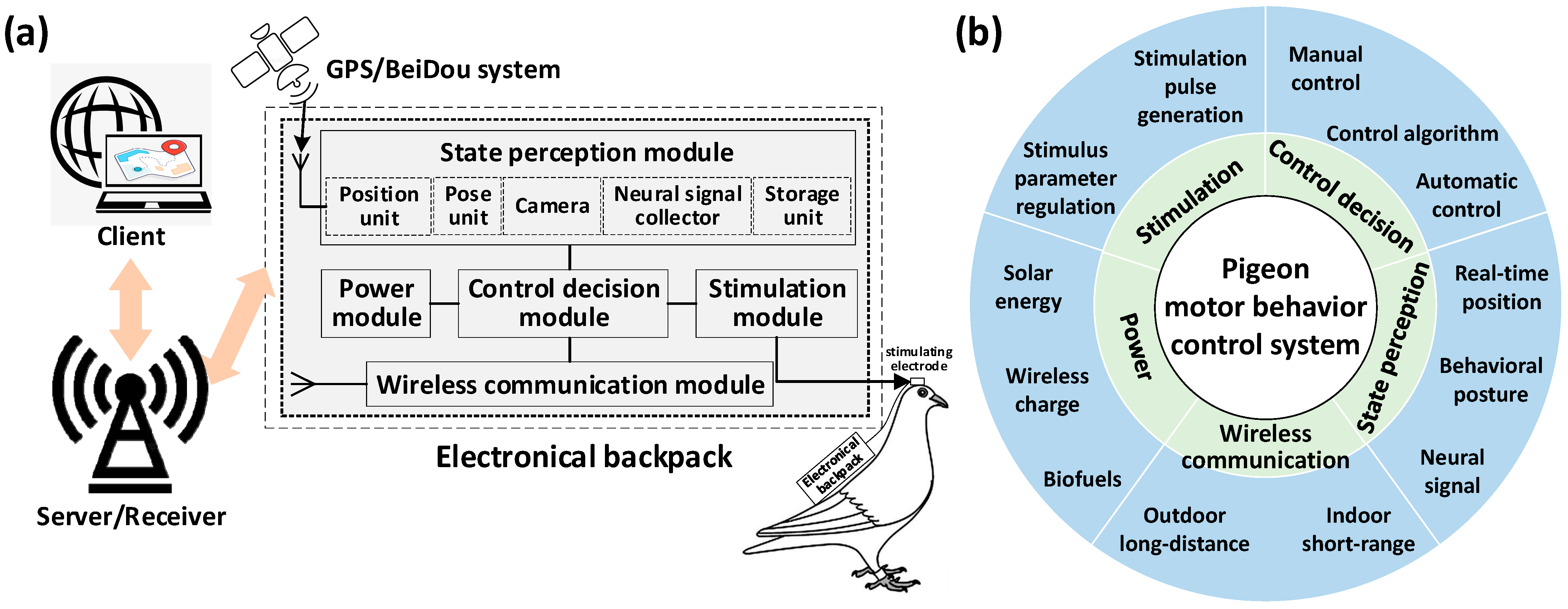 Brainsci 14 00339 g003 Brainsci 14 00339 g003