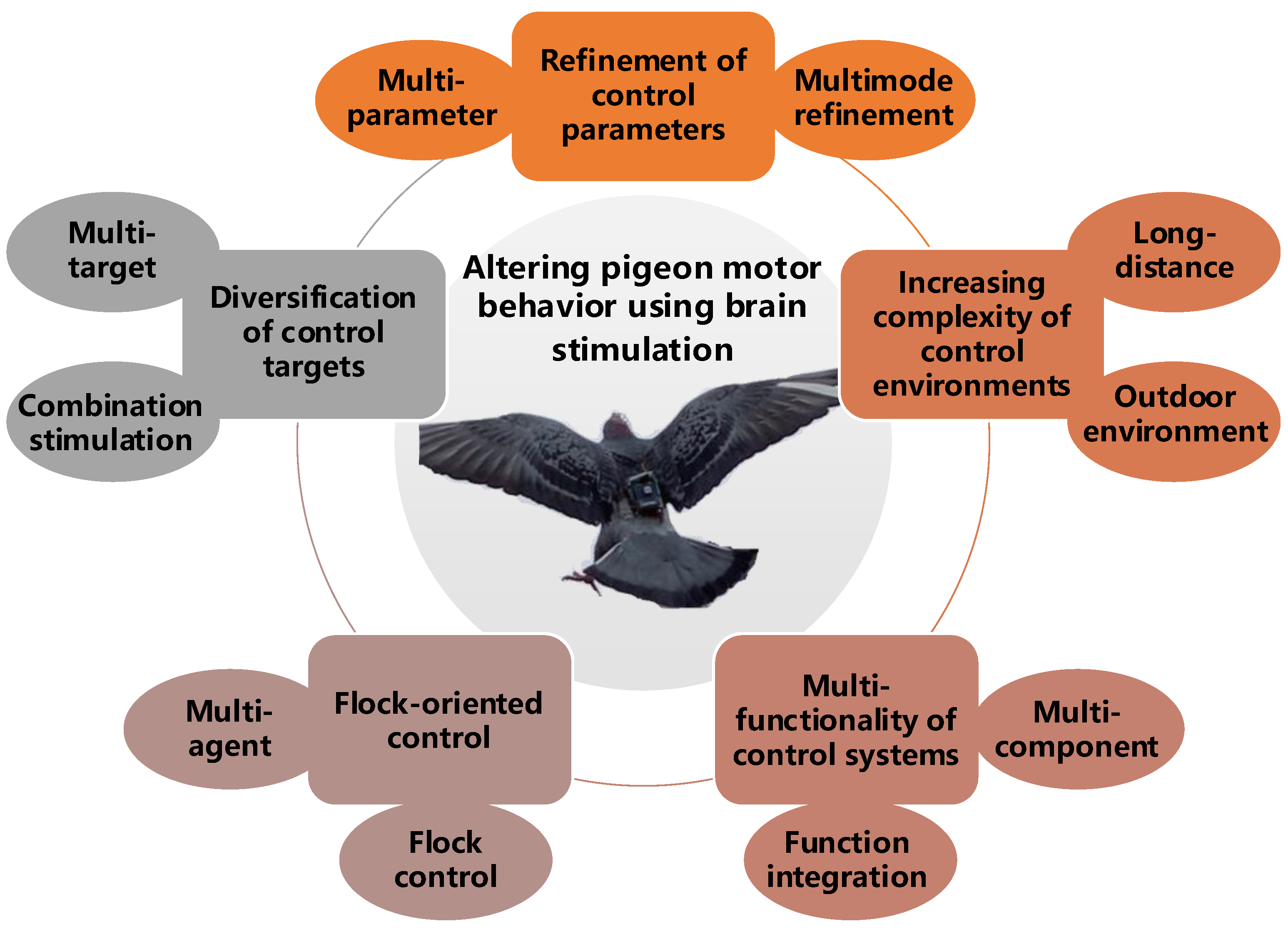 Brainsci 14 00339 g004 Brainsci 14 00339 g004