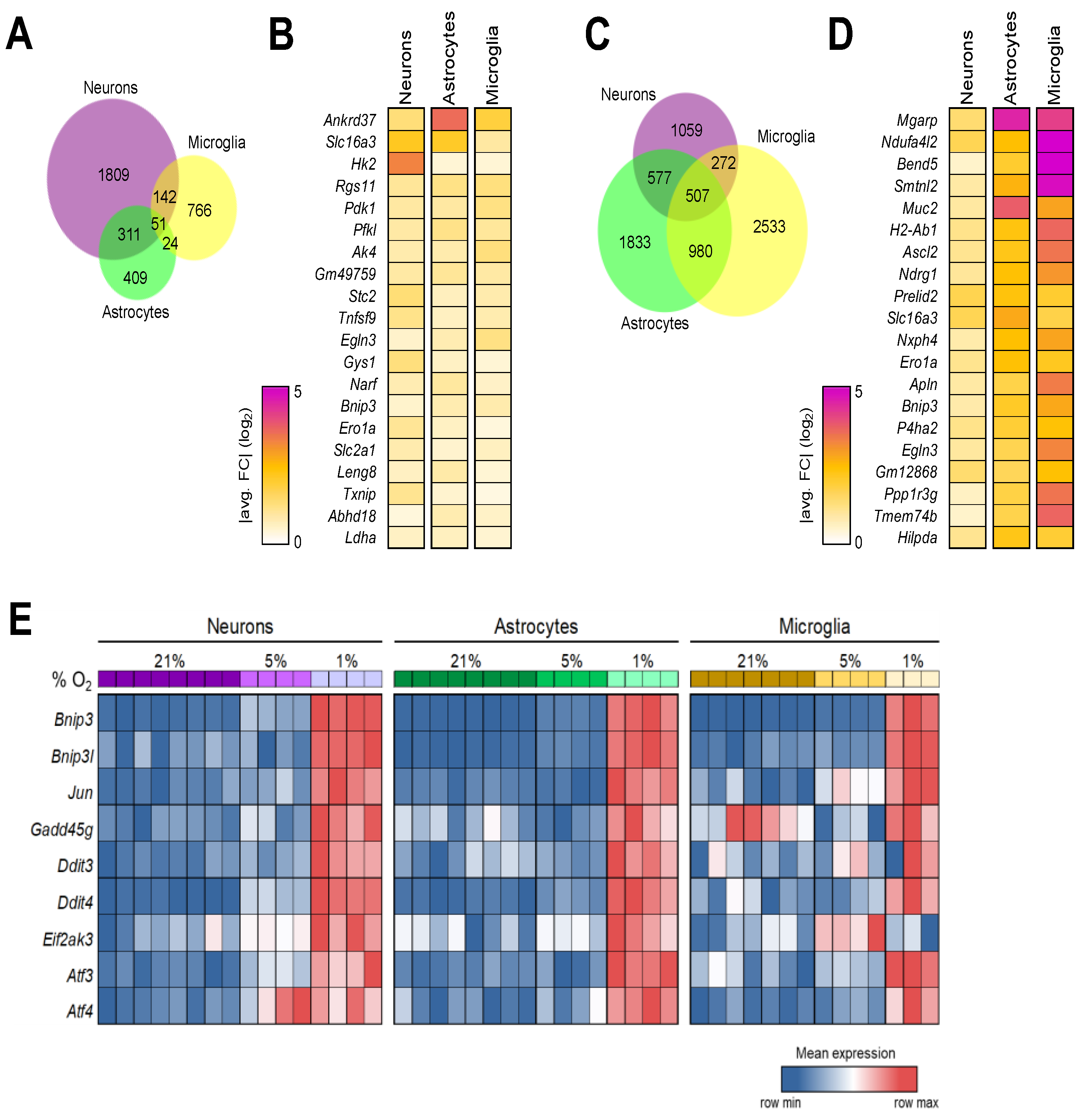 Brainsci 14 00341 g006