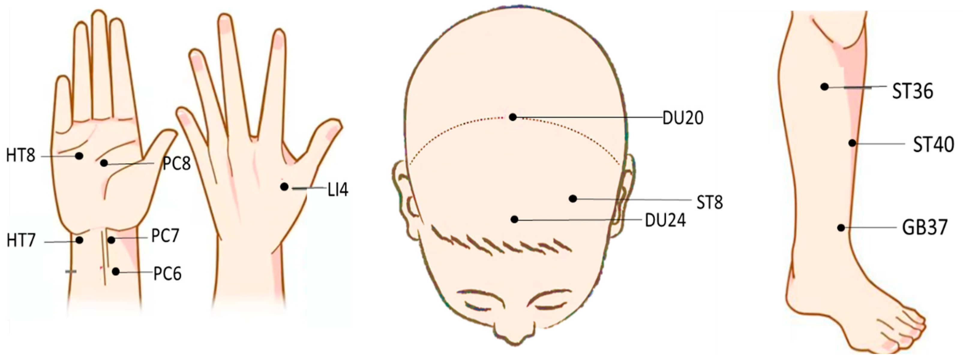 Brainsci 14 00354 g002