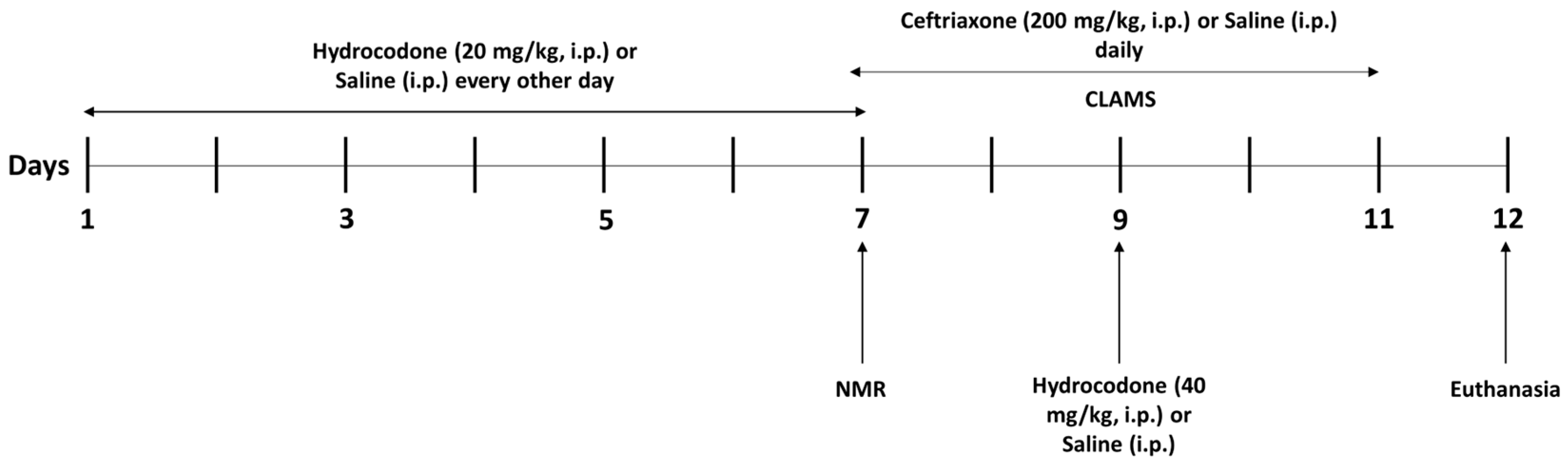Brainsci 14 00361 g001