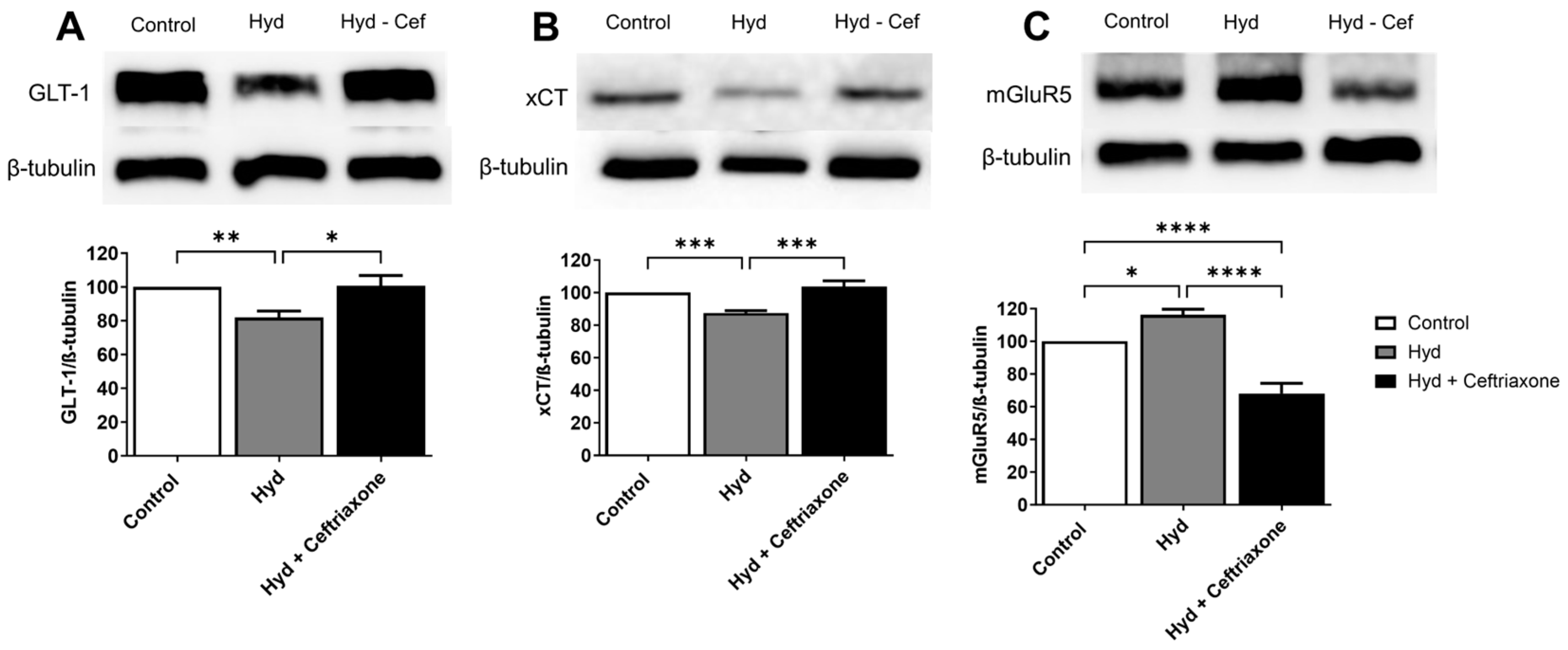Brainsci 14 00361 g003