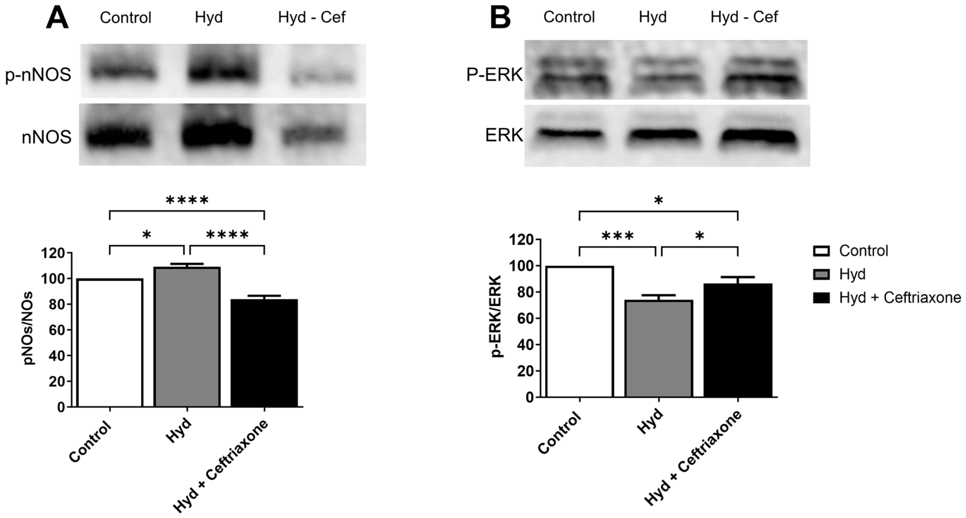 Brainsci 14 00361 g004