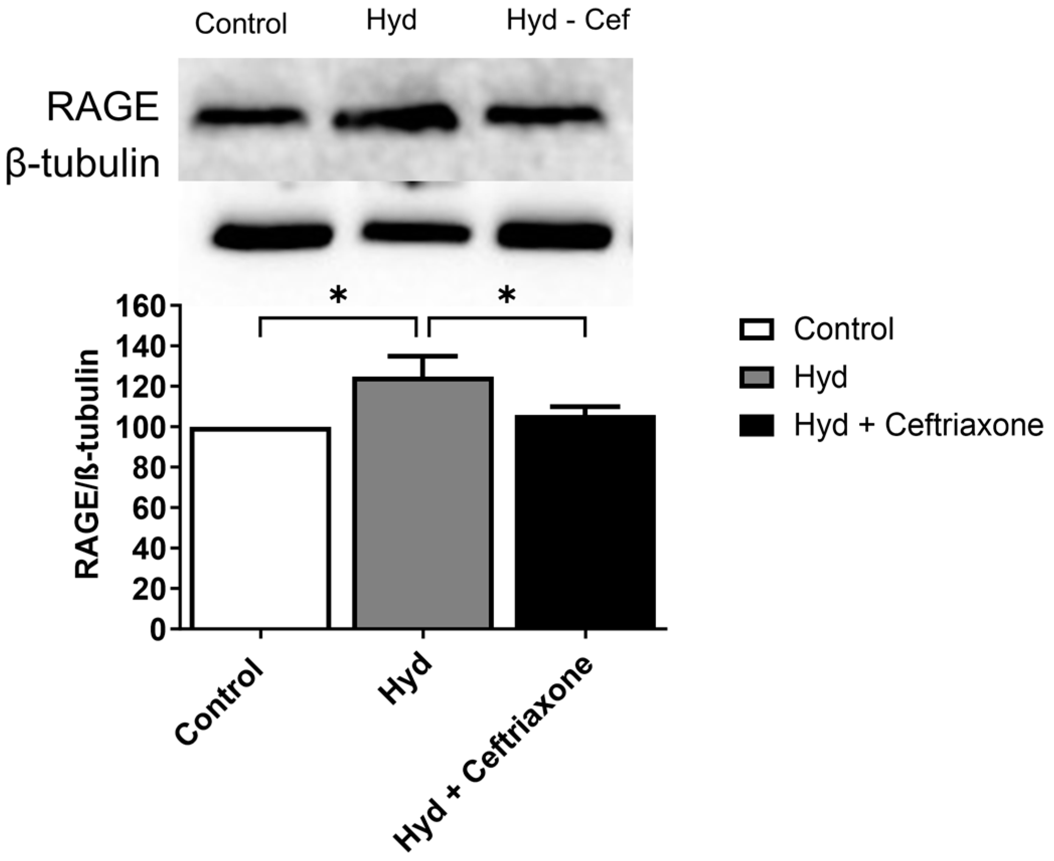 Brainsci 14 00361 g005