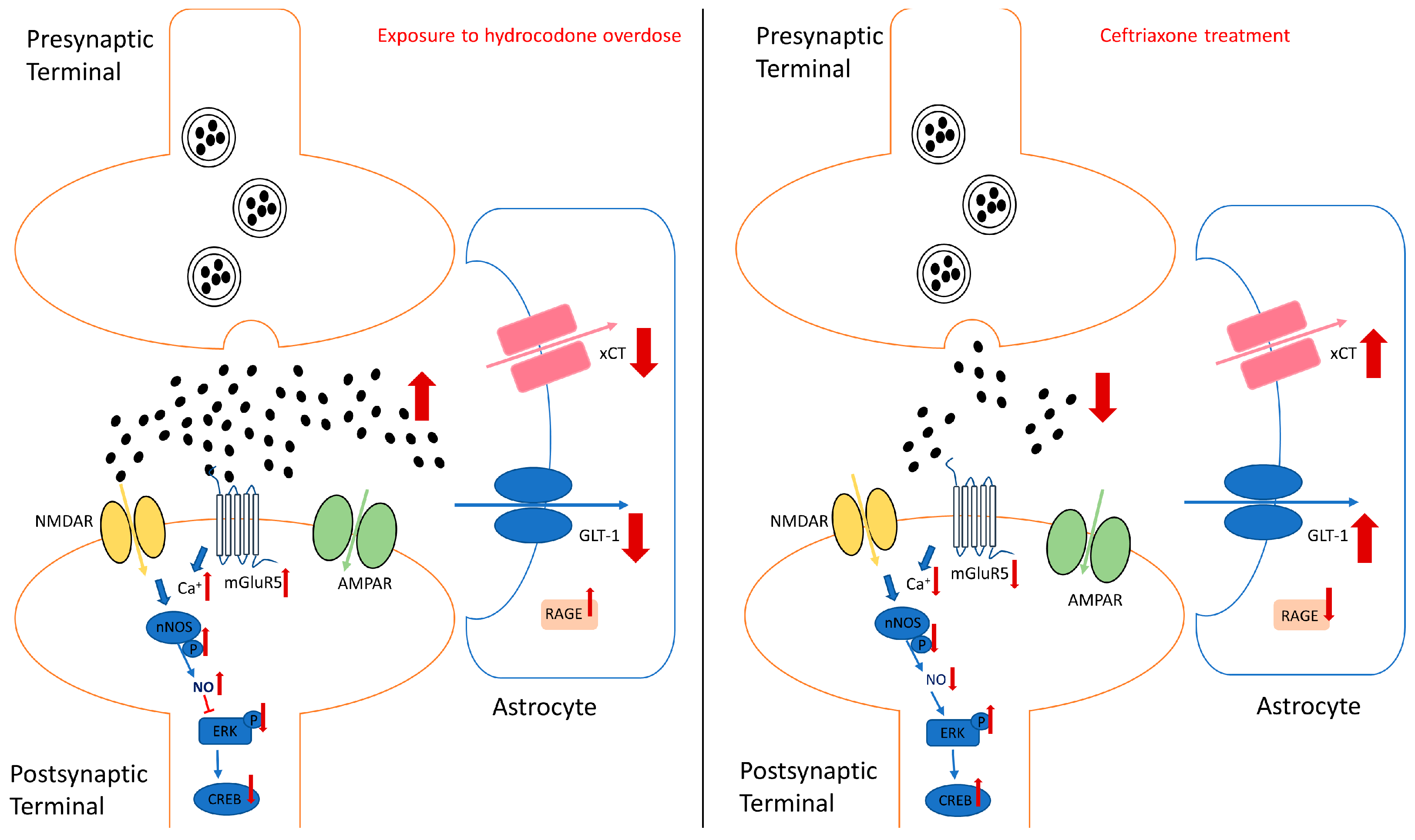 Brainsci 14 00361 g006
