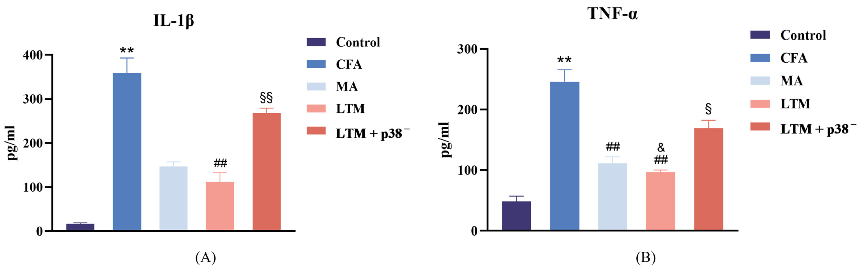 Brainsci 14 00380 g003 Brainsci 14 00380 g003