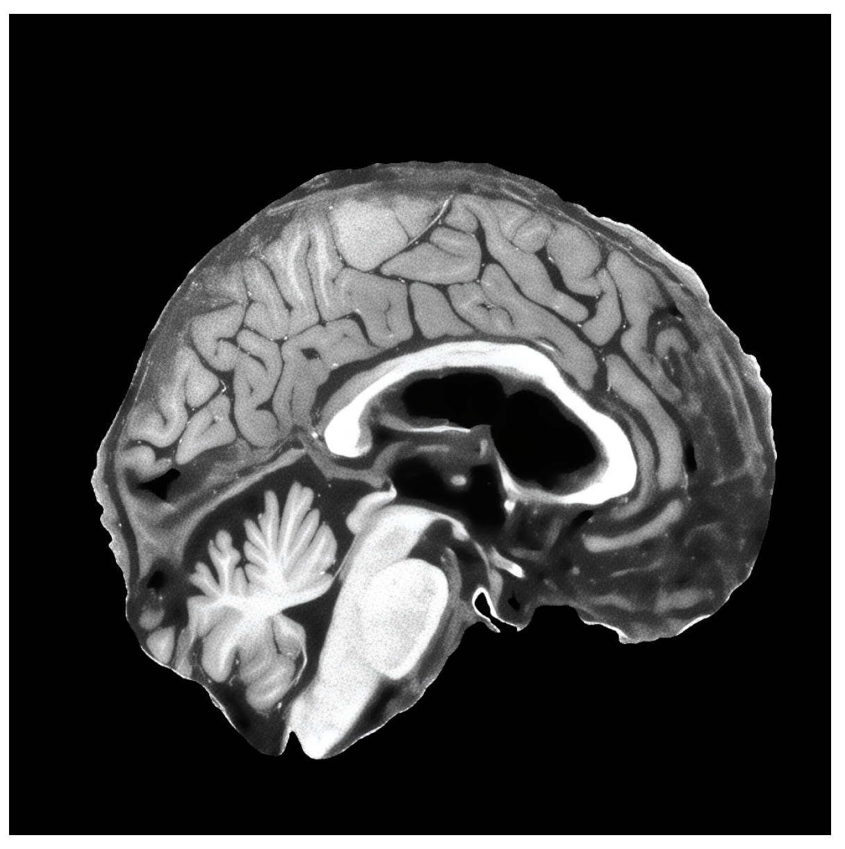 Brainsci 14 00381 g005