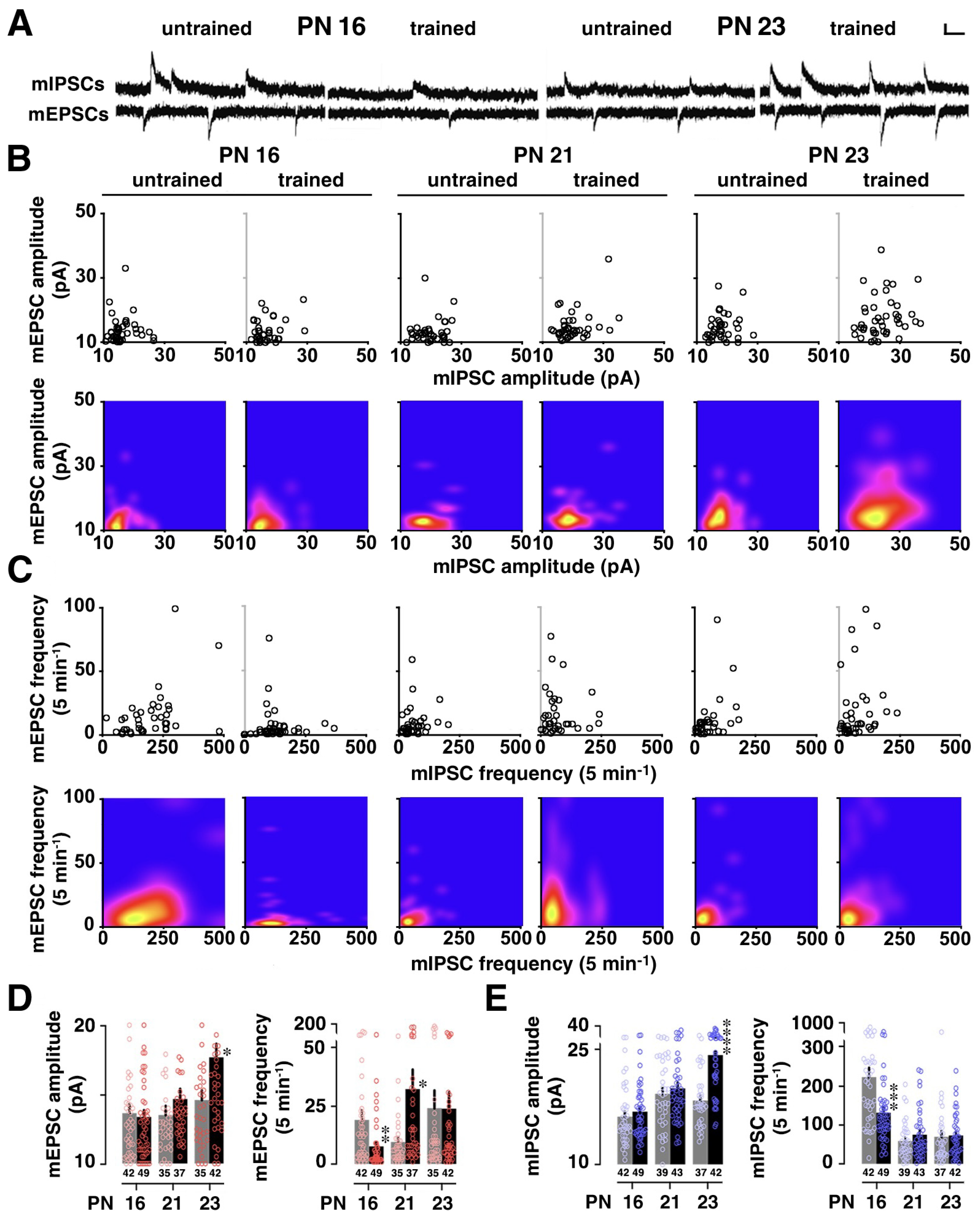 Brainsci 14 00382 g002