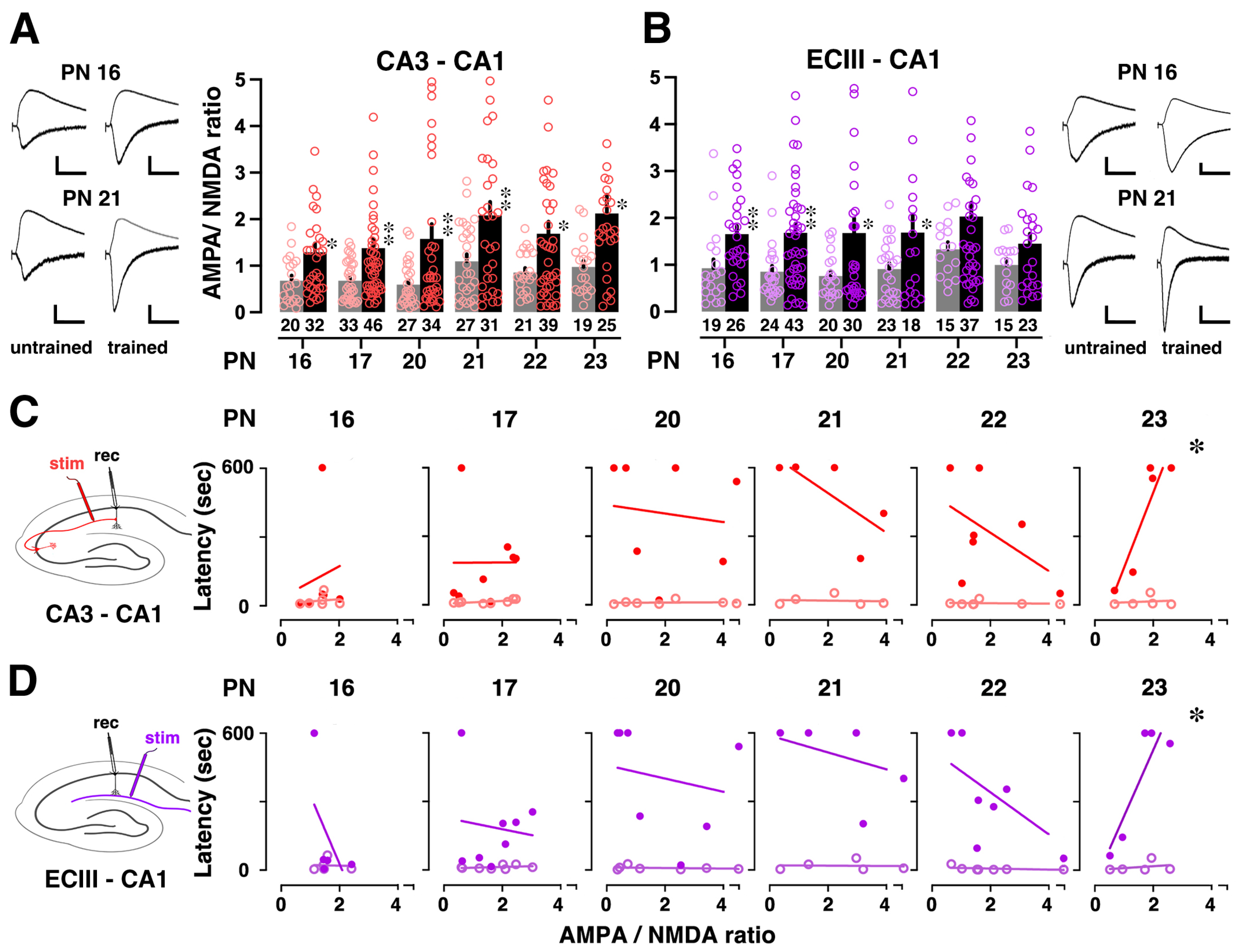 Brainsci 14 00382 g004