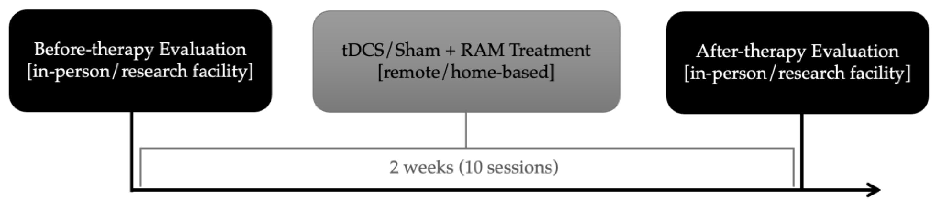 Brainsci 14 00391 g001