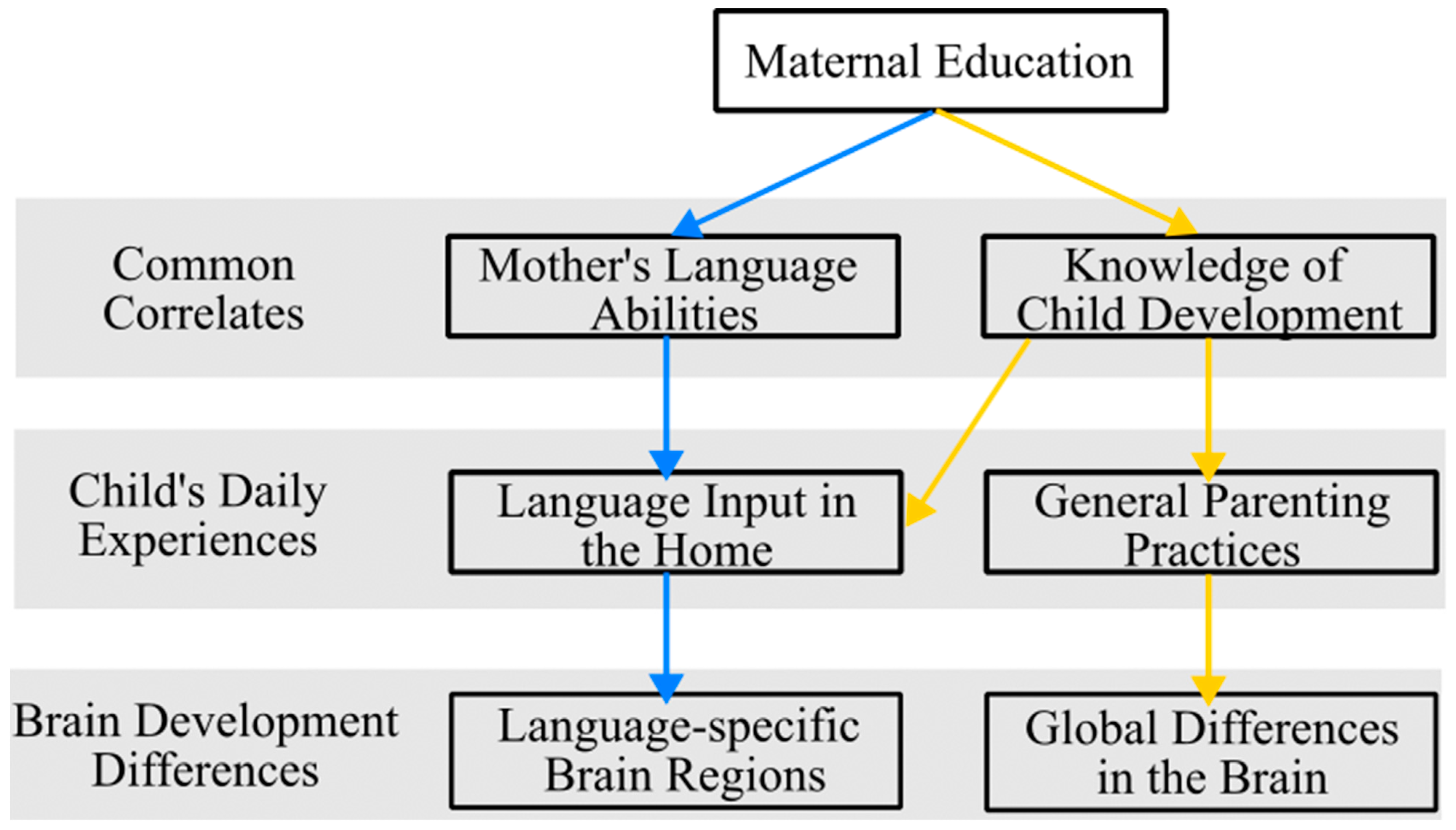 Brainsci 14 00392 g001