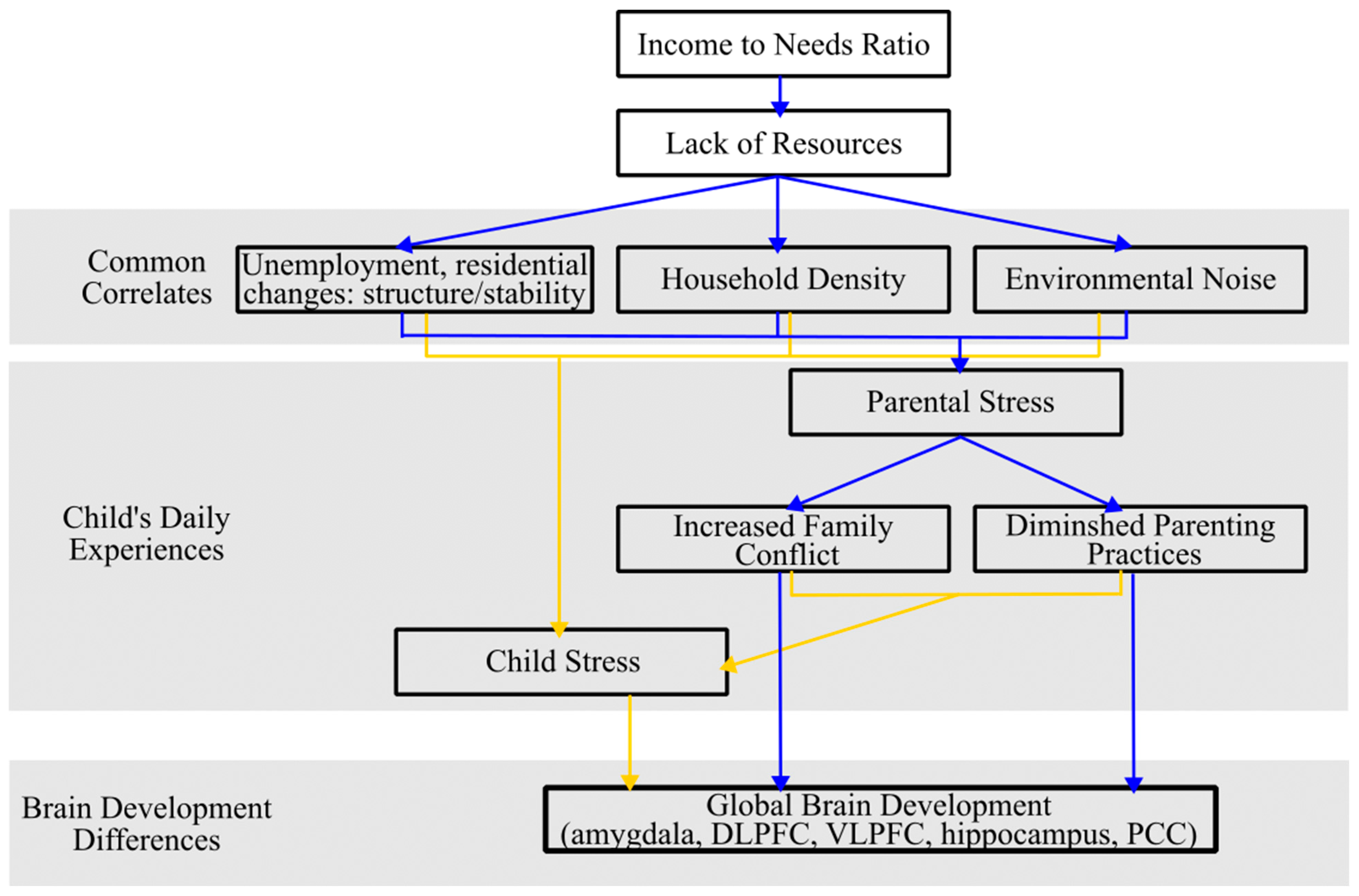 Brainsci 14 00392 g002