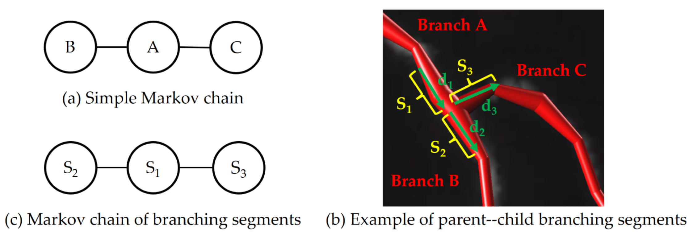 Brainsci 14 00396 g004