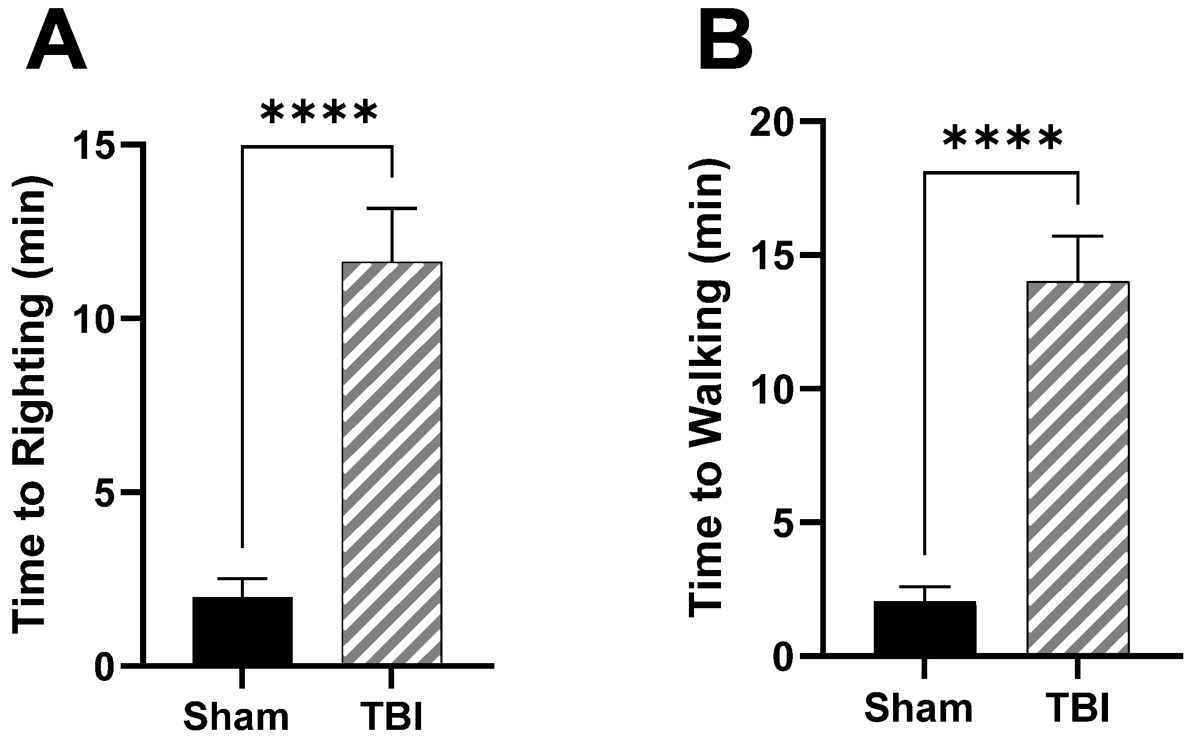 Brainsci 14 00398 g001