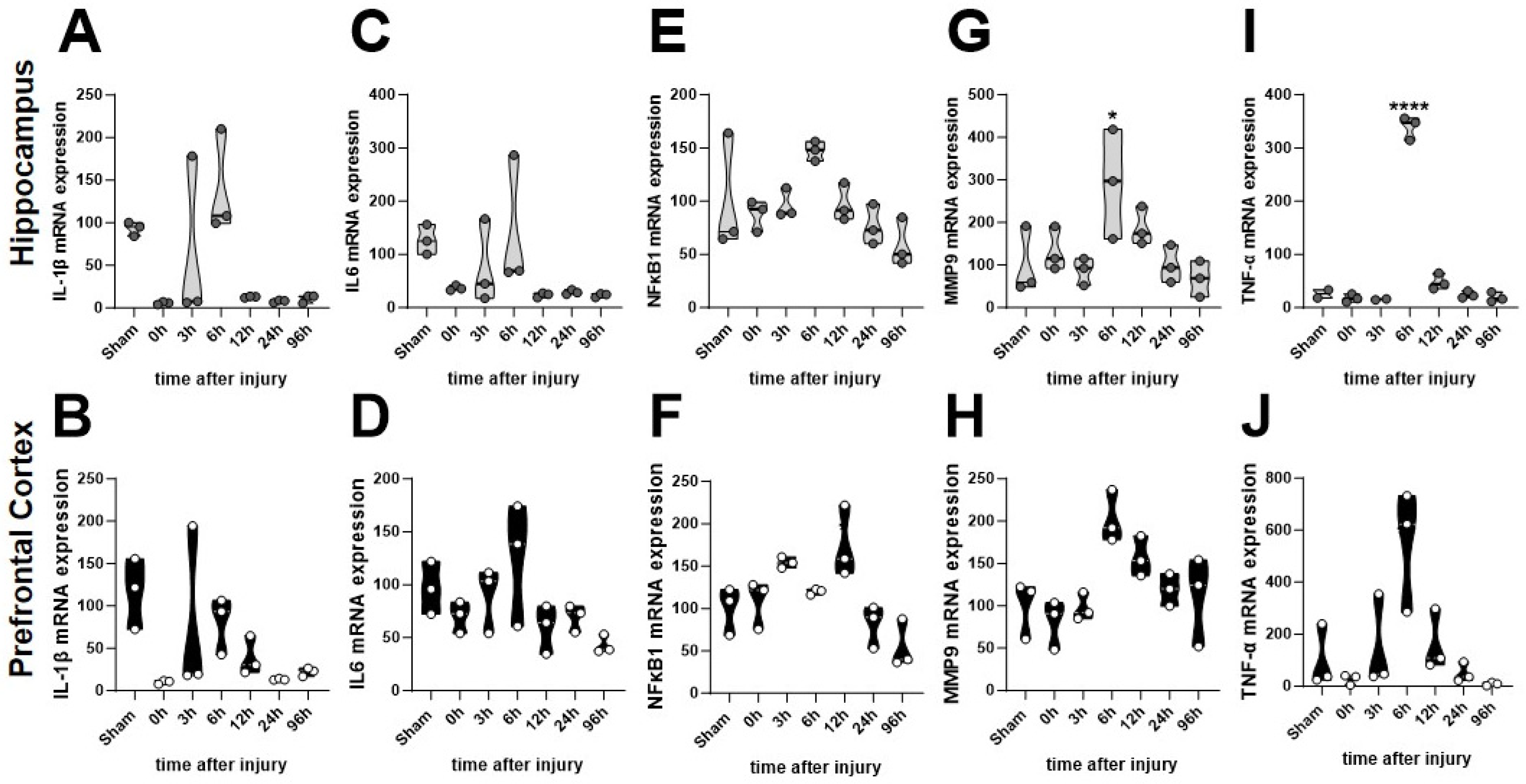 Brainsci 14 00398 g002