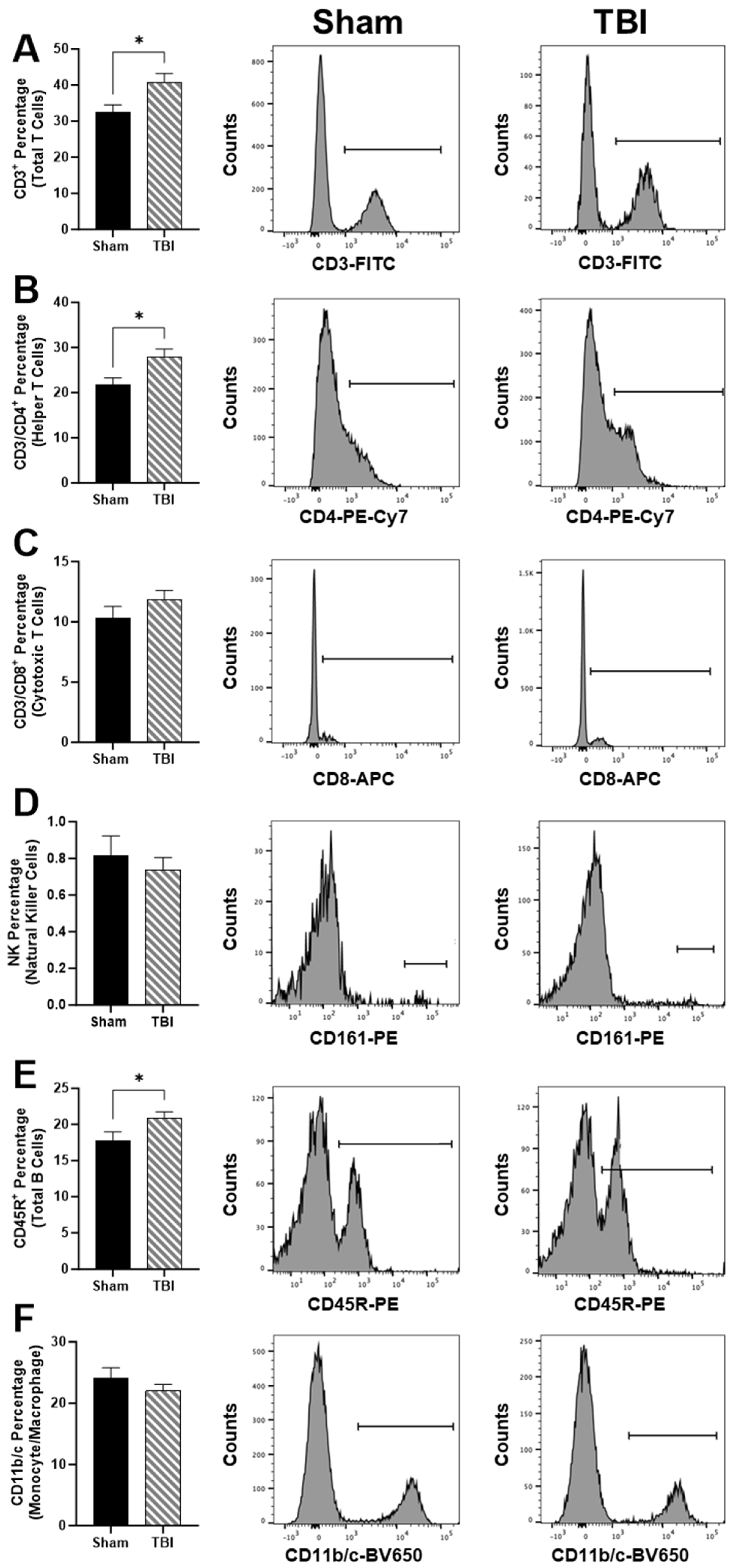 Brainsci 14 00398 g003