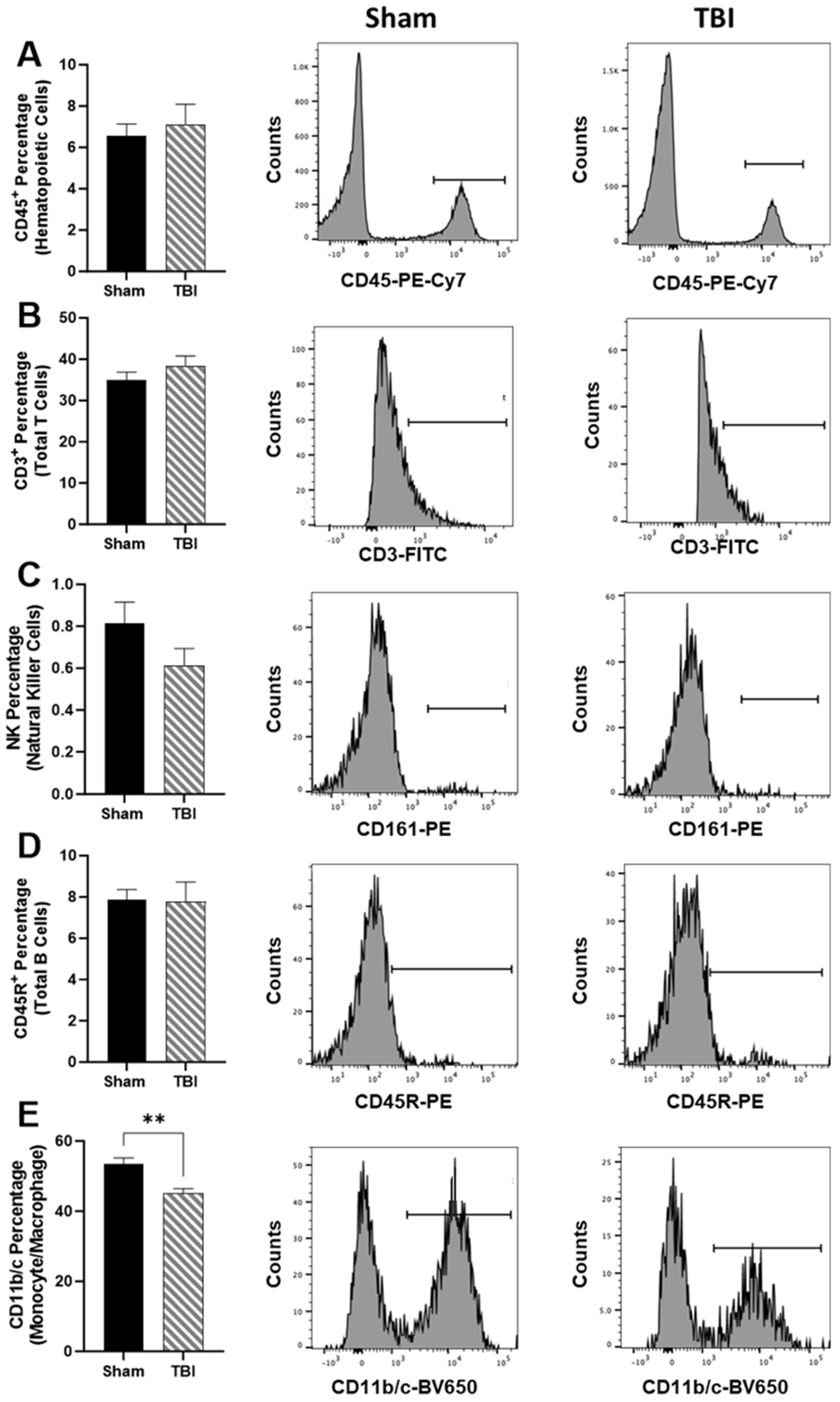 Brainsci 14 00398 g004