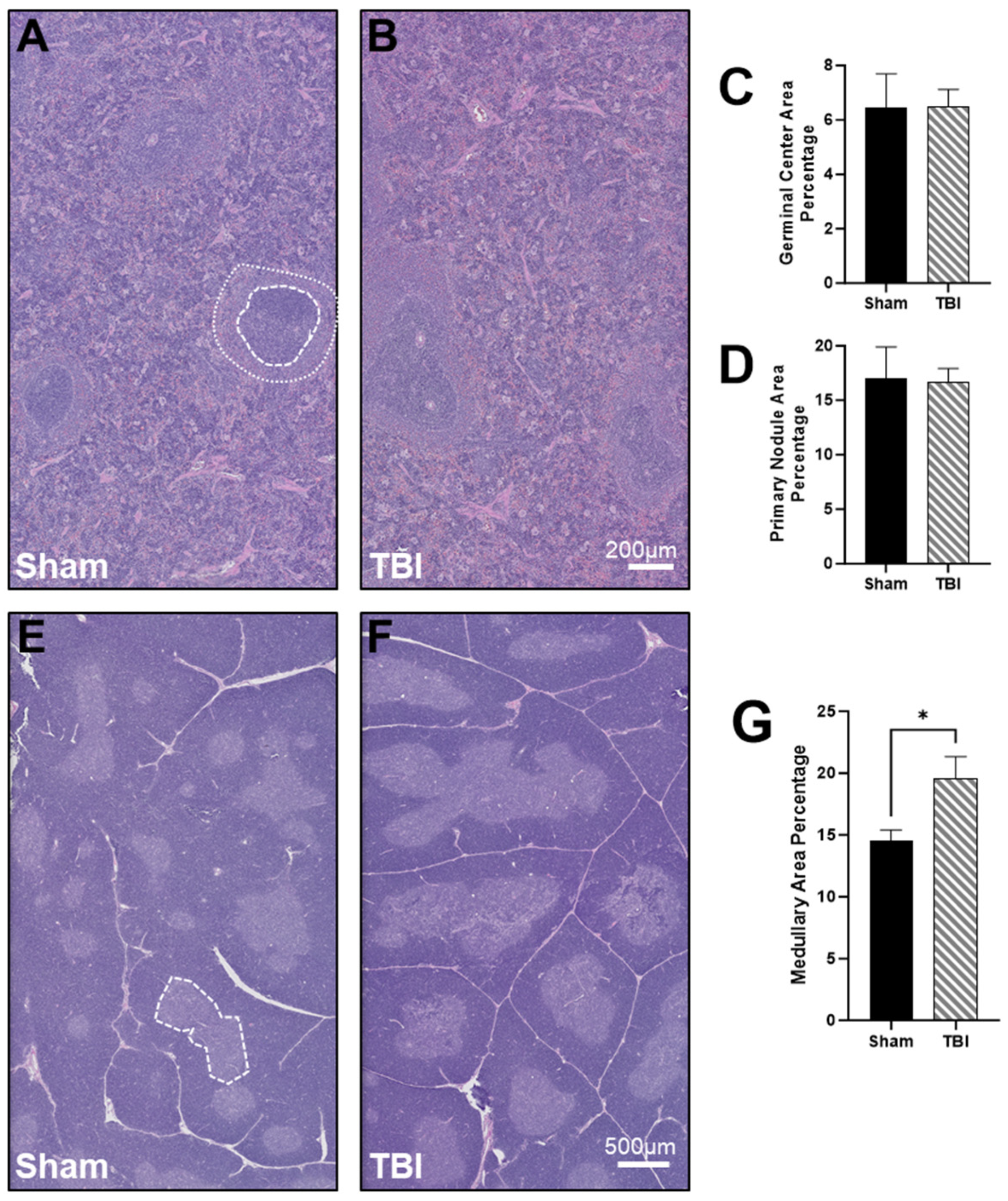 Brainsci 14 00398 g005