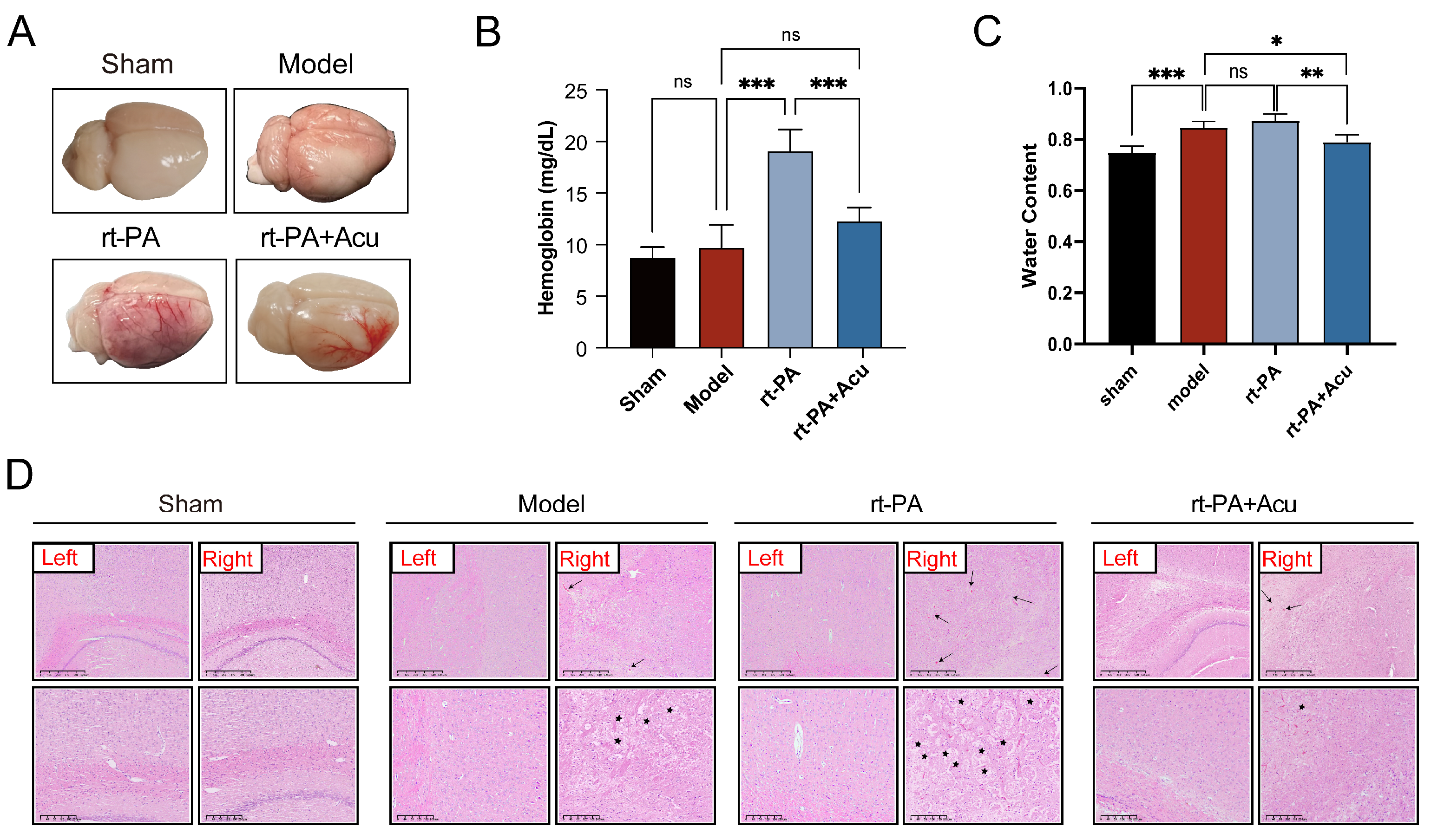 Brainsci 14 00399 g003