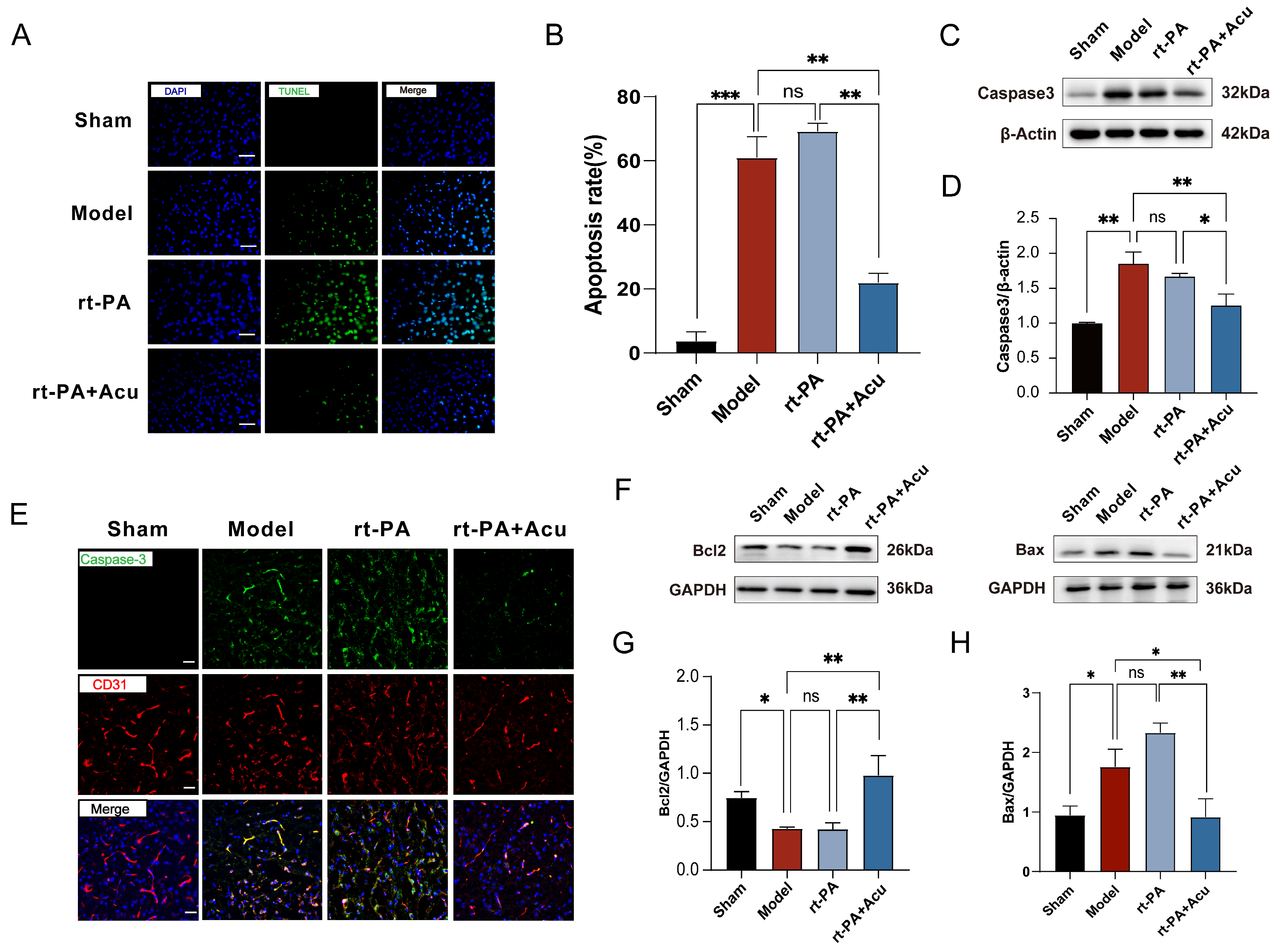 Brainsci 14 00399 g008