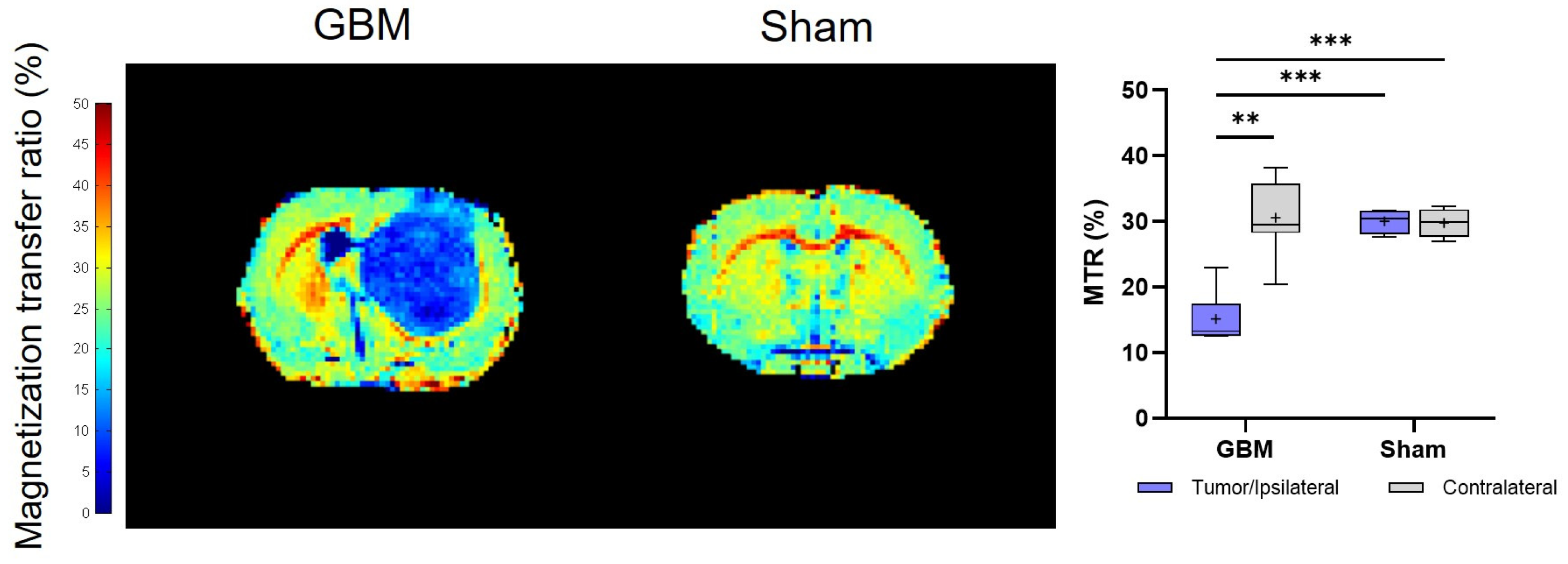 Brainsci 14 00409 g003 Brainsci 14 00409 g003