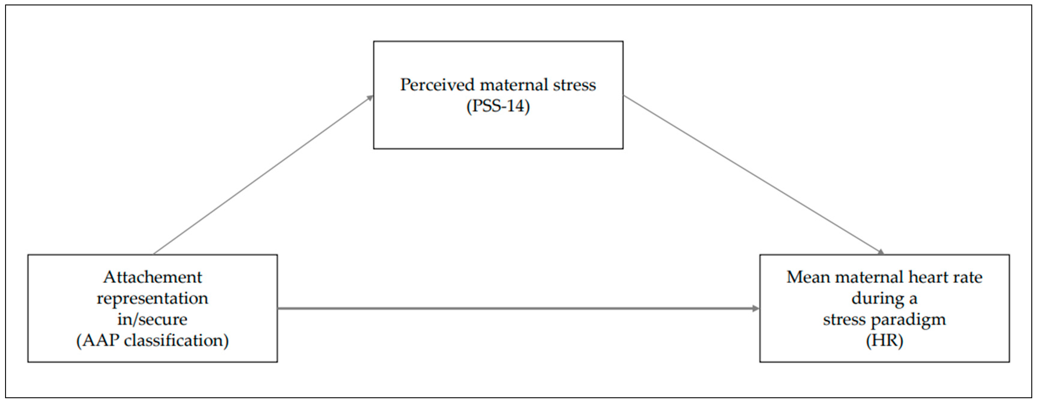 Brainsci 14 00412 g001 Brainsci 14 00412 g001