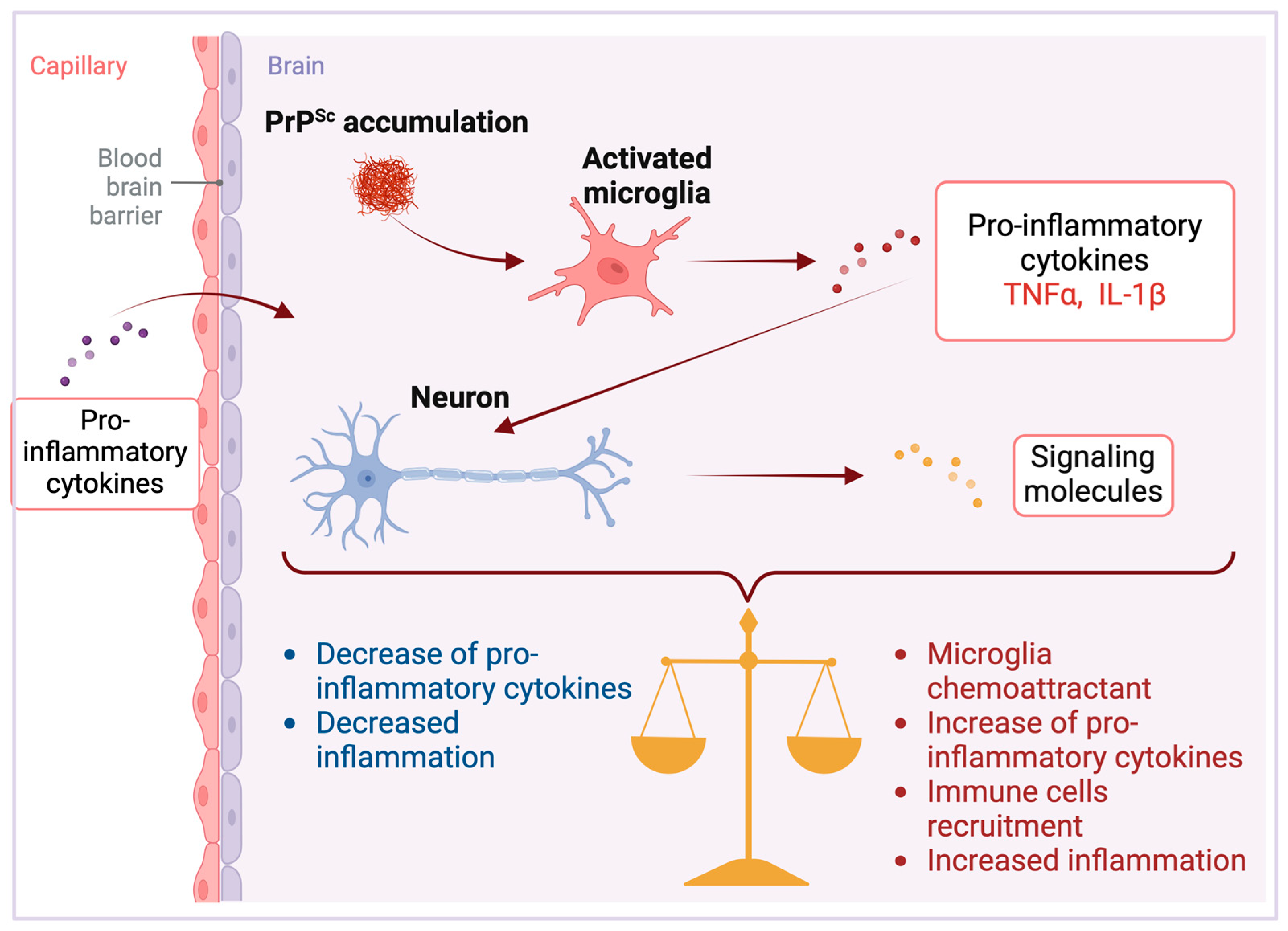Interactions between Cytokines and the Pathogenesis of Prion Interactions between Cytokines and the Pathogenesis of Prion