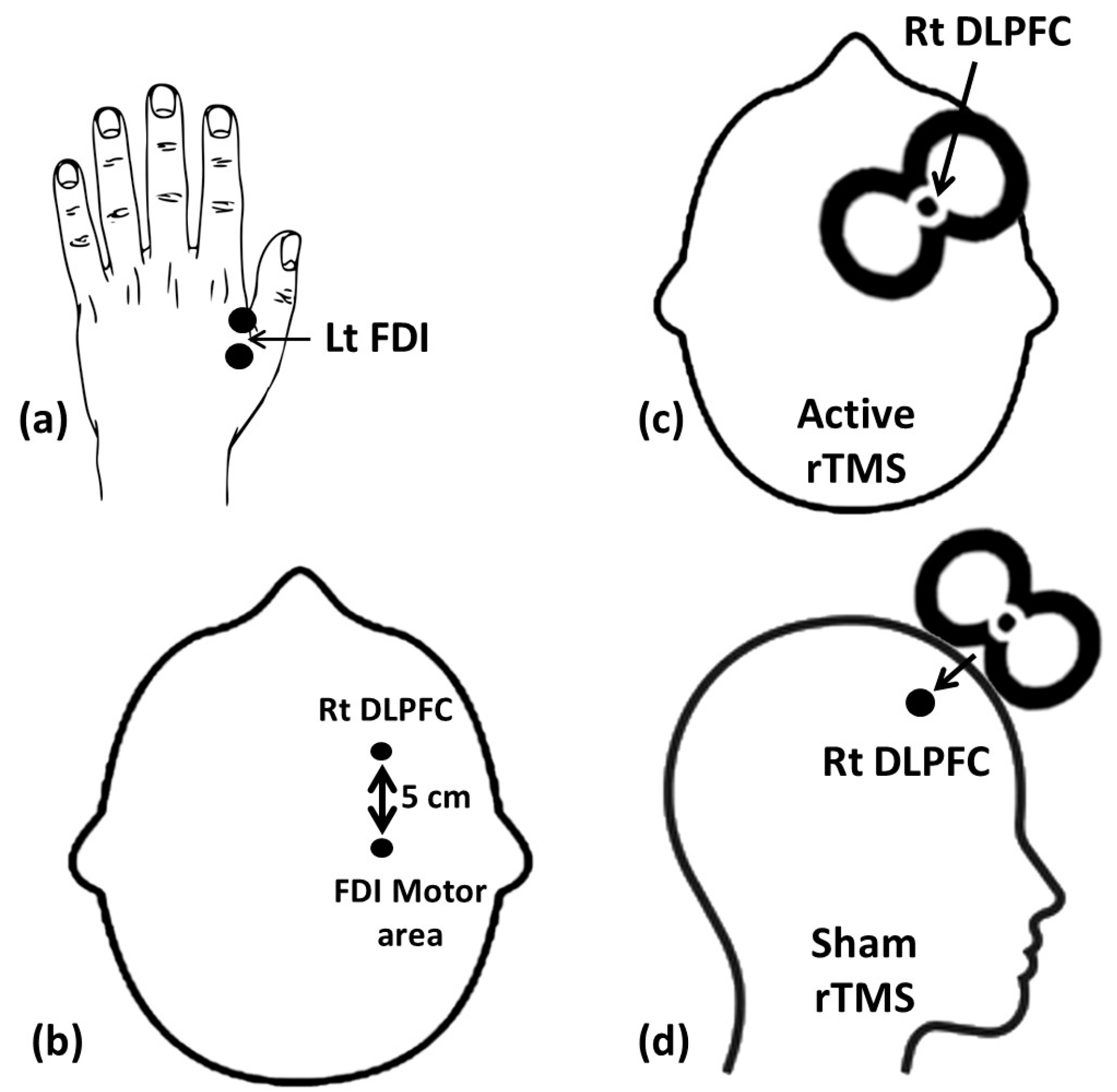 Brainsci 14 00416 g002