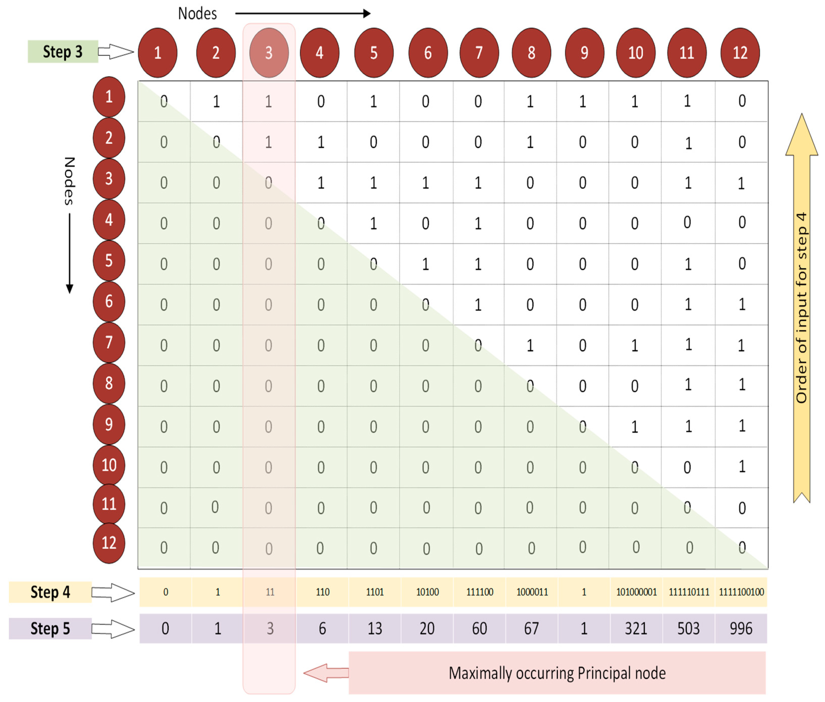 Brainsci 14 00424 g002