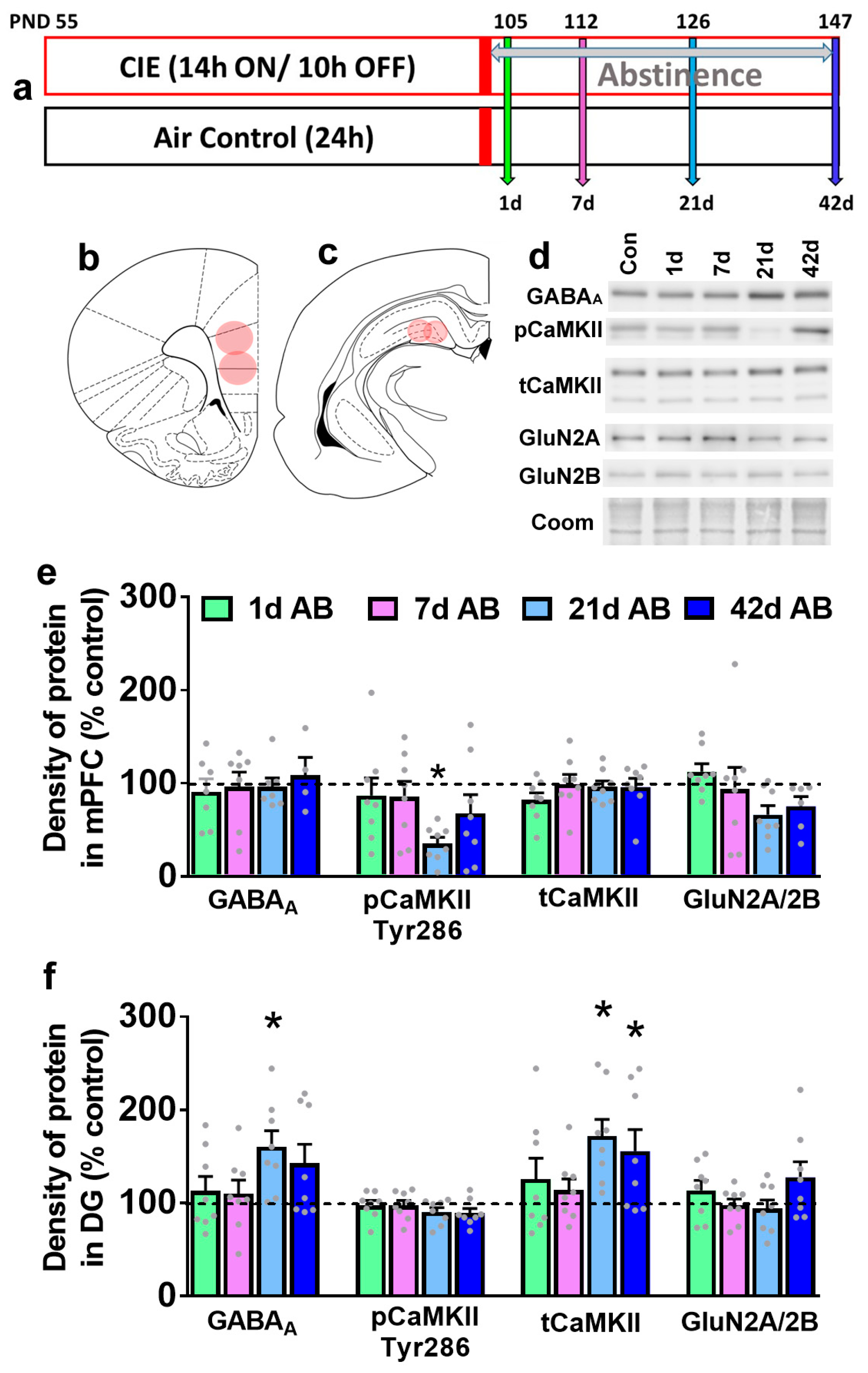 Brainsci 14 00431 g001 Brainsci 14 00431 g001