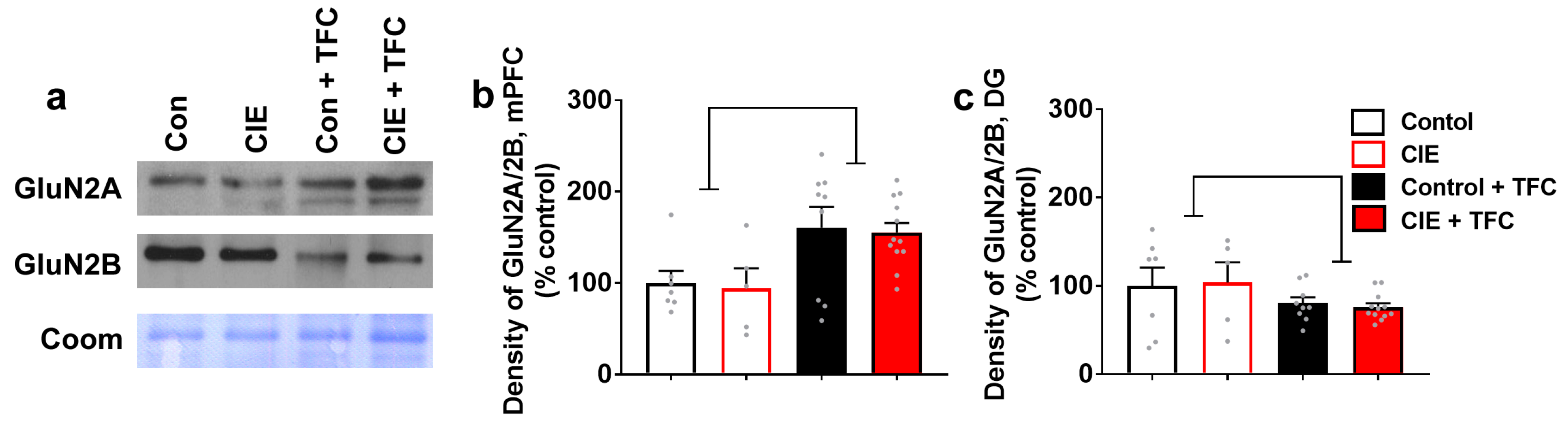 Brainsci 14 00431 g004 Brainsci 14 00431 g004