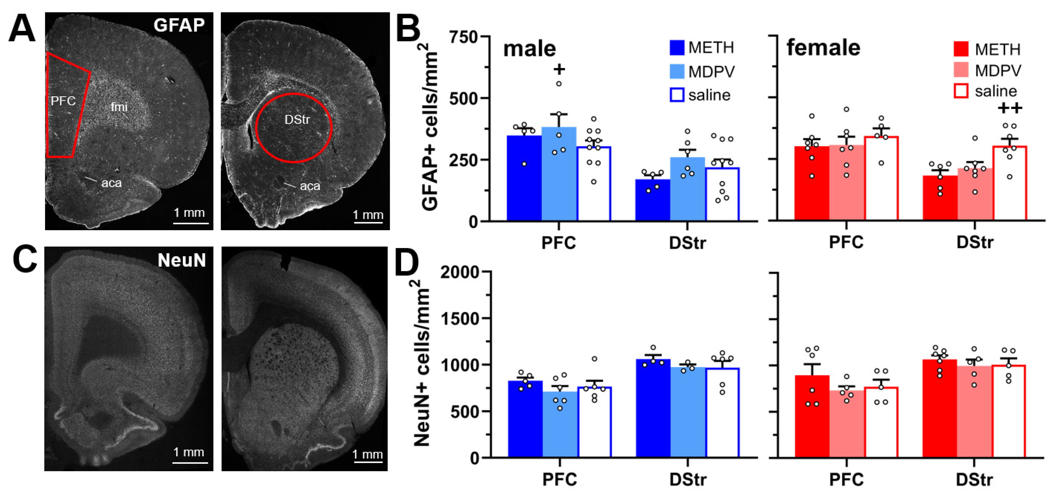 Brainsci 14 00435 g003 Brainsci 14 00435 g003