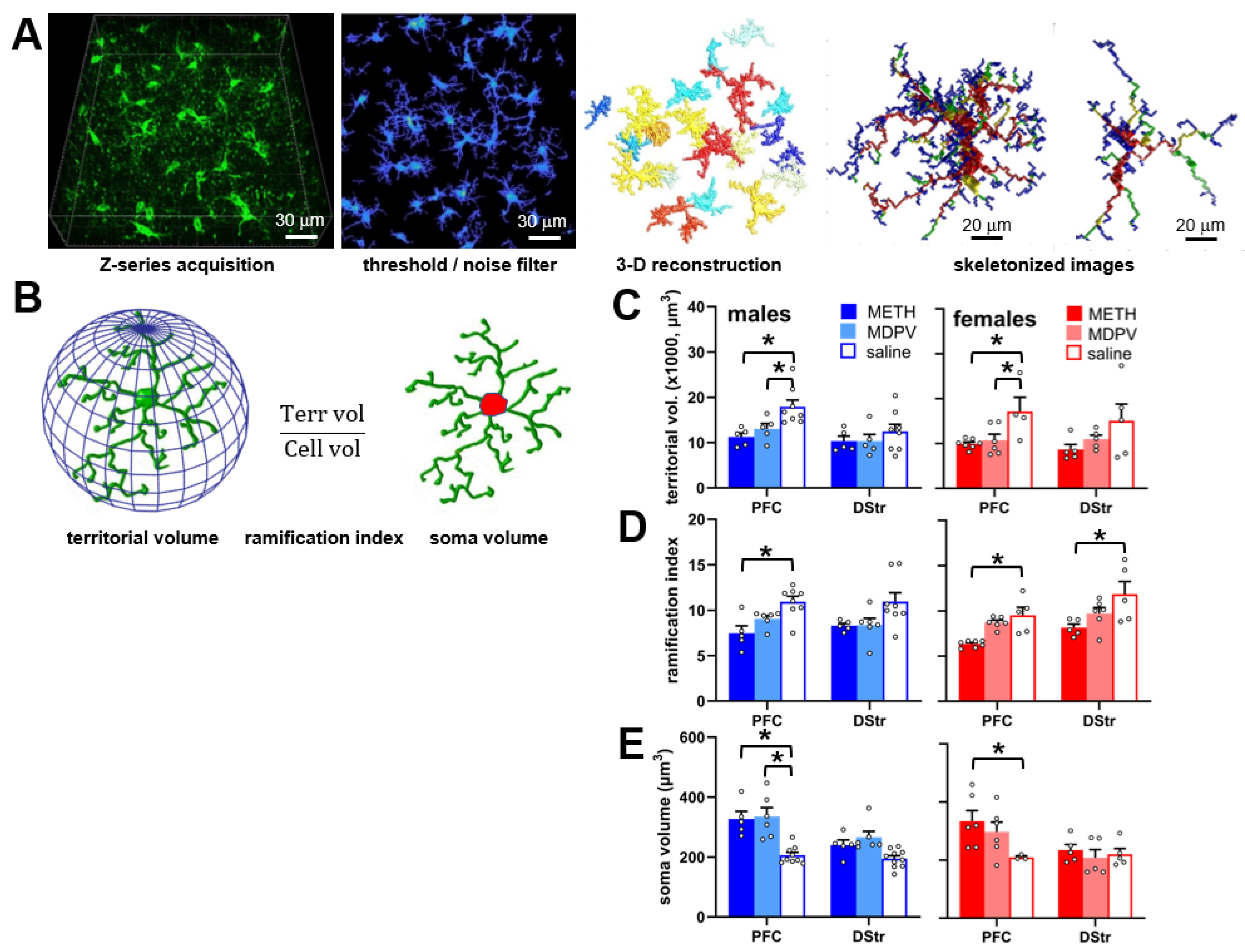 Brainsci 14 00435 g006 Brainsci 14 00435 g006