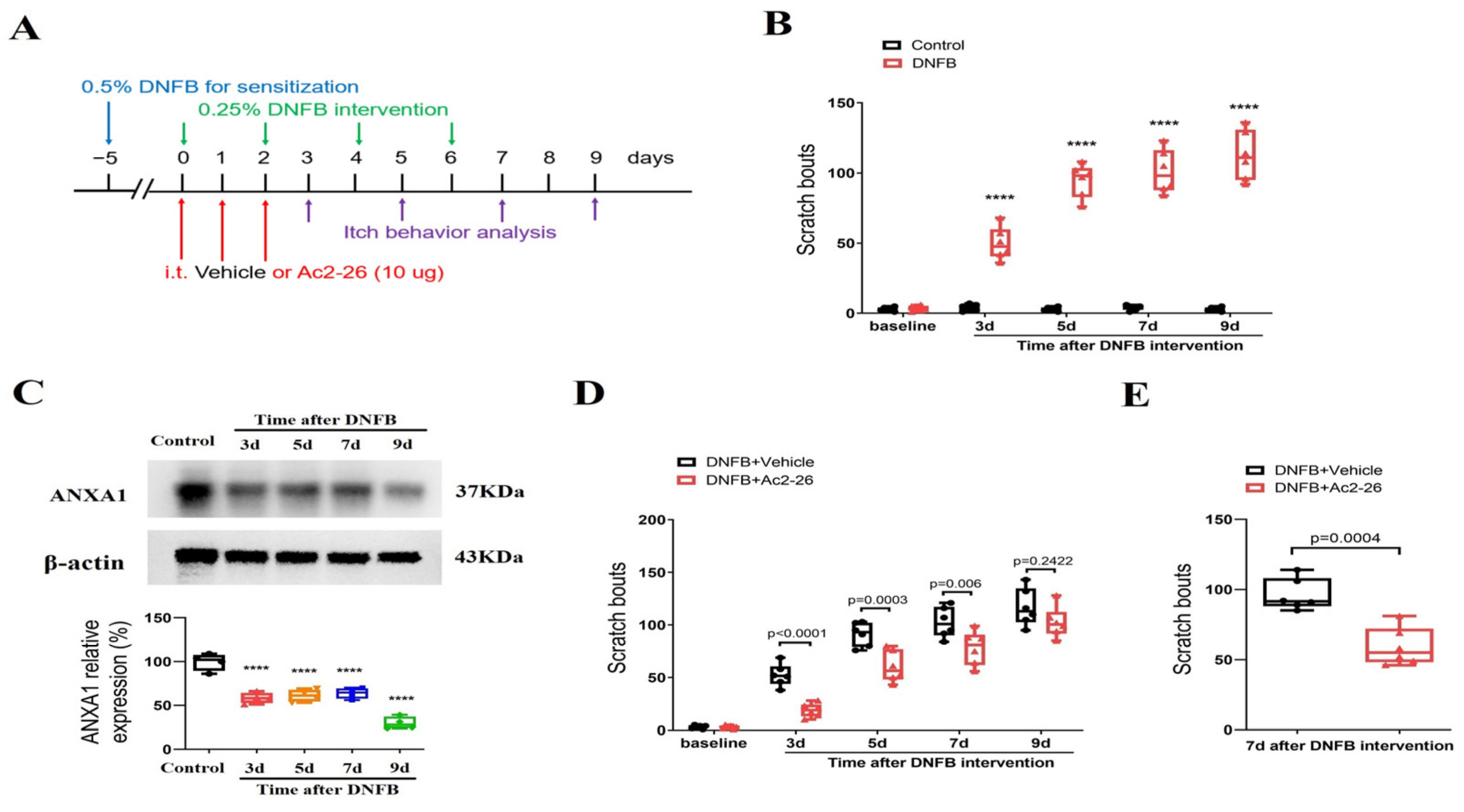 Brainsci 14 00440 g001