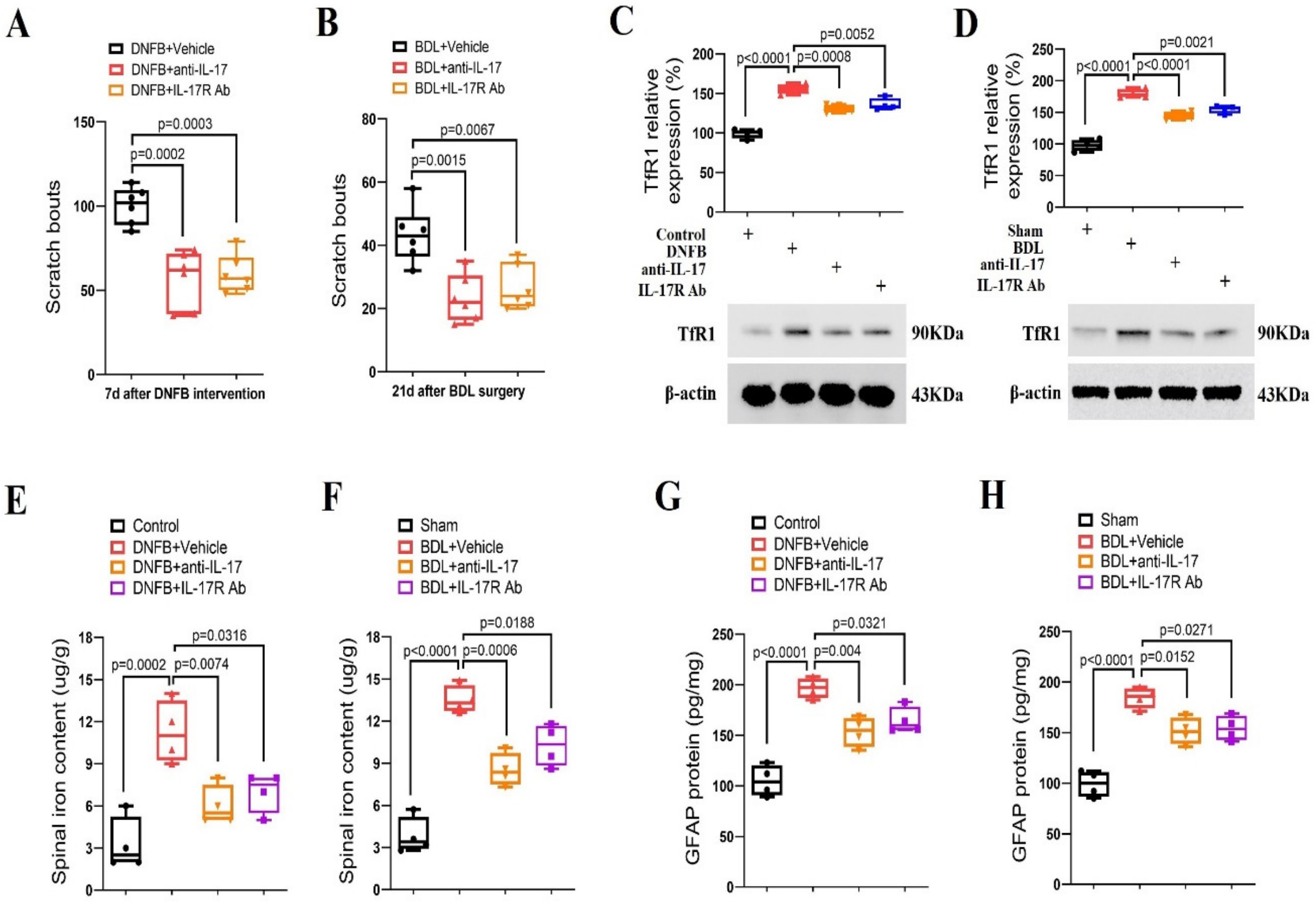 Brainsci 14 00440 g005