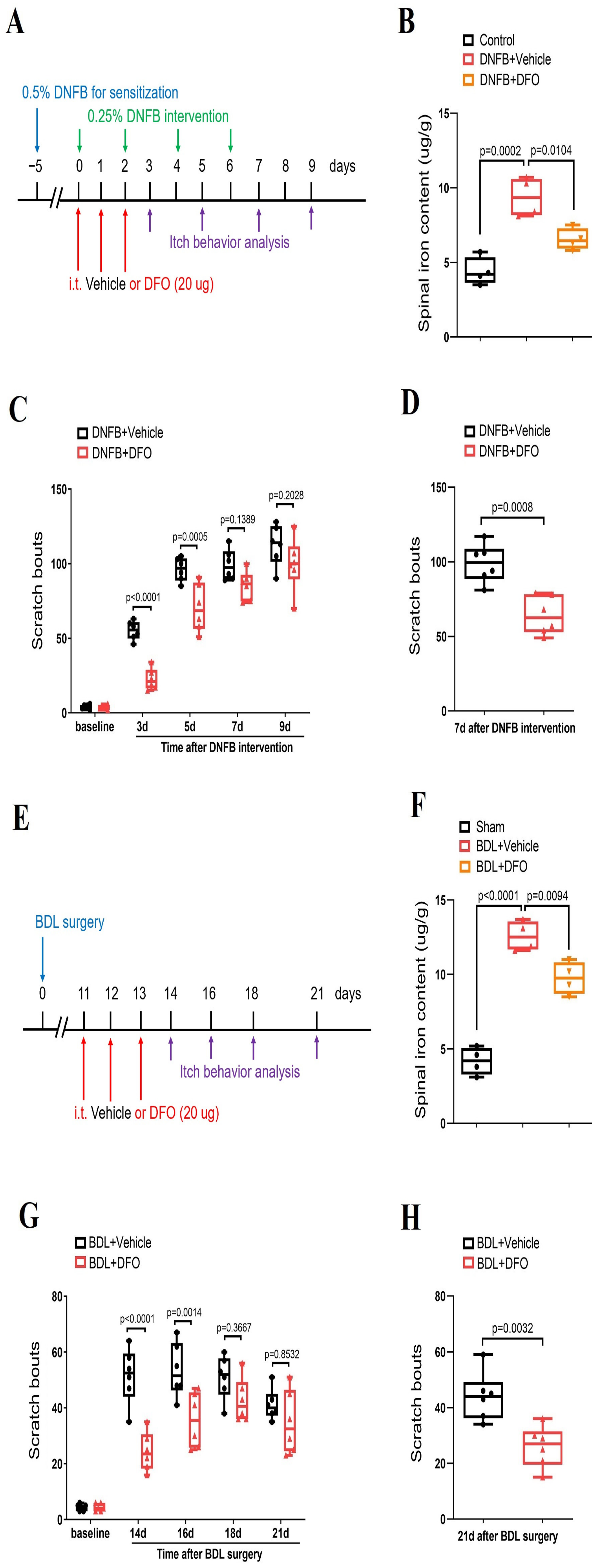 Brainsci 14 00440 g006