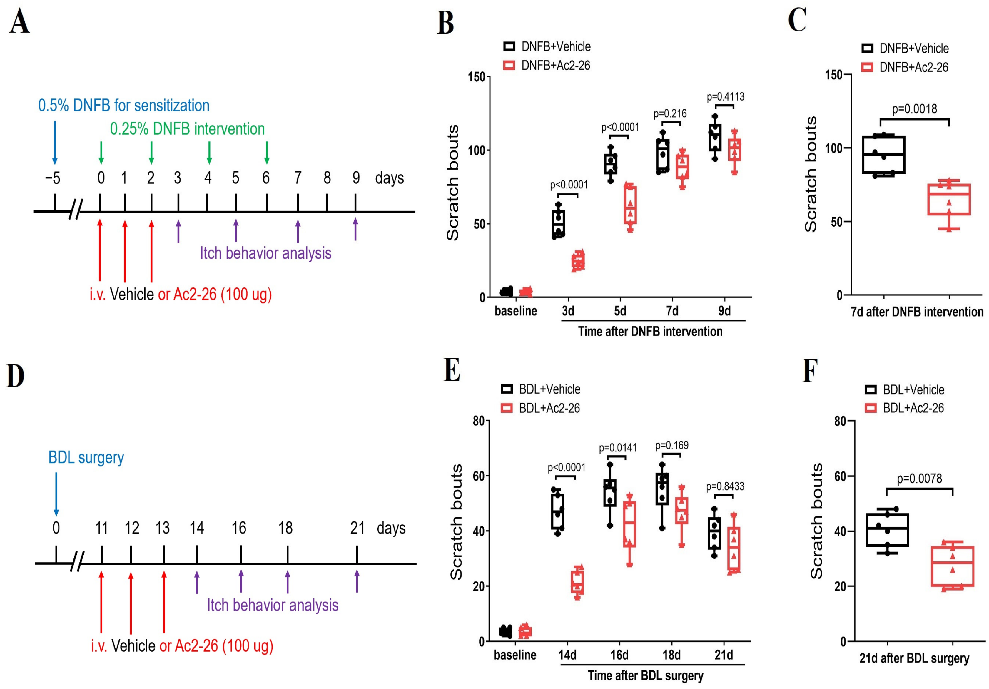 Brainsci 14 00440 g007