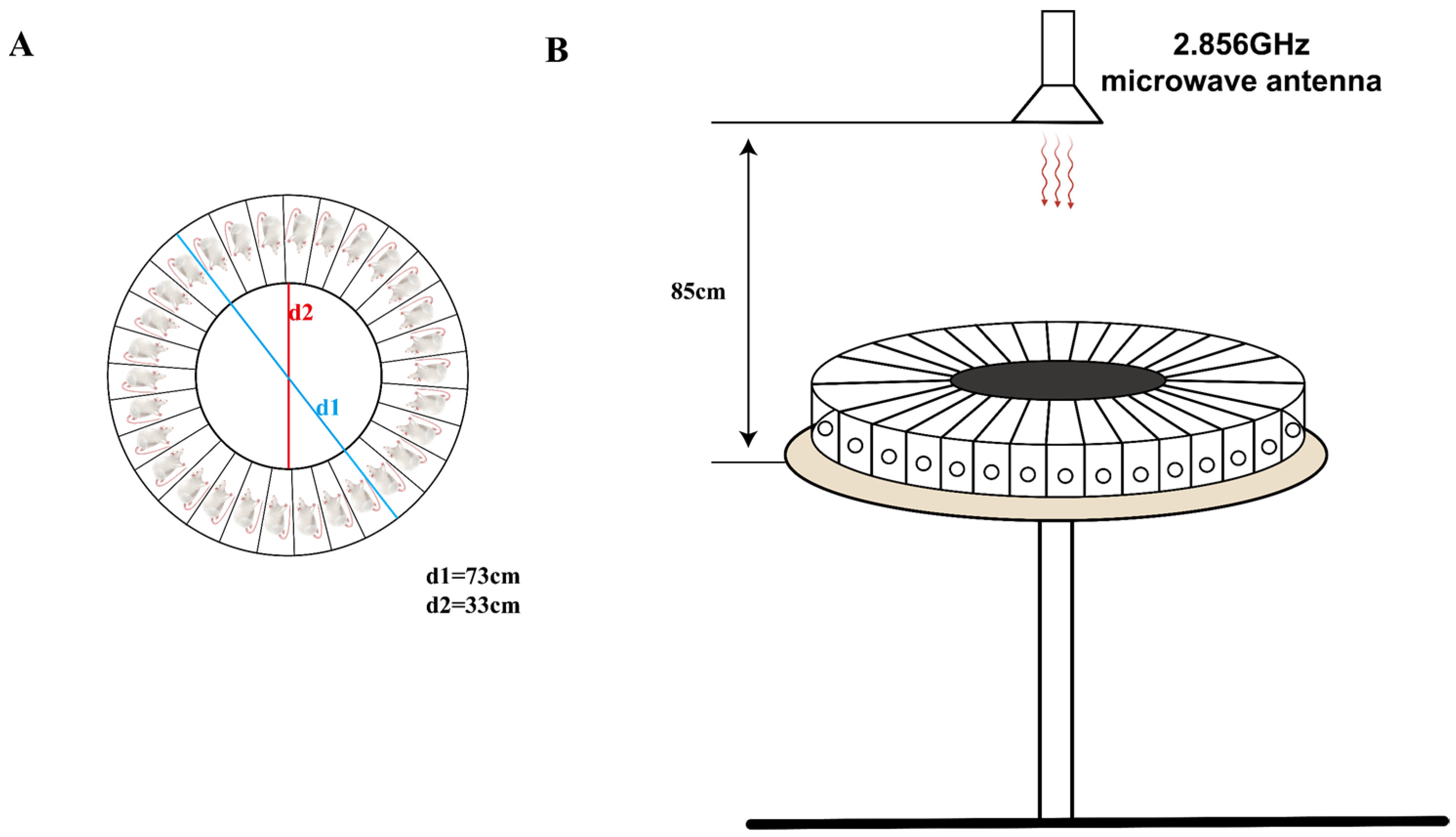 Brainsci 14 00441 g001 Brainsci 14 00441 g001