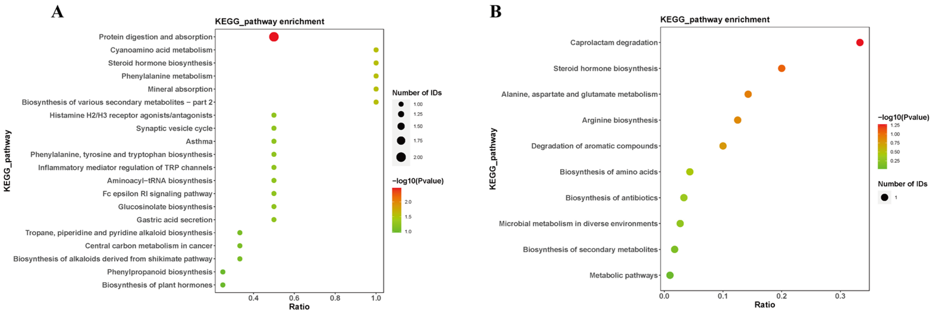 Brainsci 14 00441 g006 Brainsci 14 00441 g006